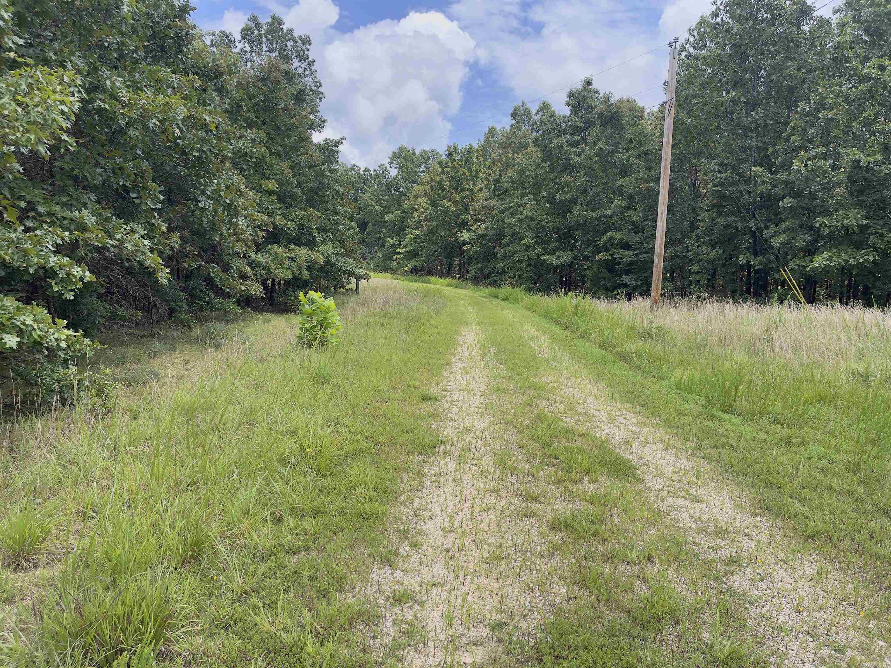 Photo 4 - Vacant Land for sale – TBD  Turkey Springs Ranch Ln   Highland, AR