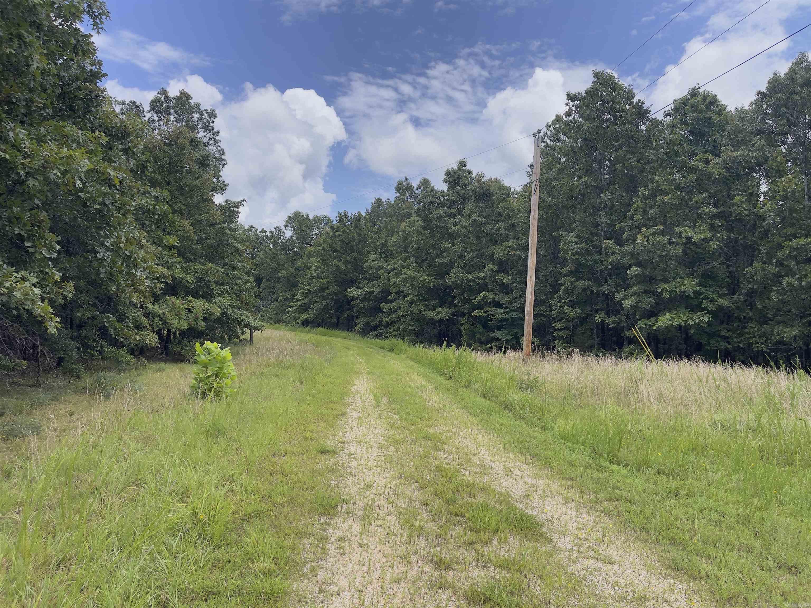 Photo 5 - Vacant Land for sale – TBD  Turkey Springs Ranch Ln   Highland, AR