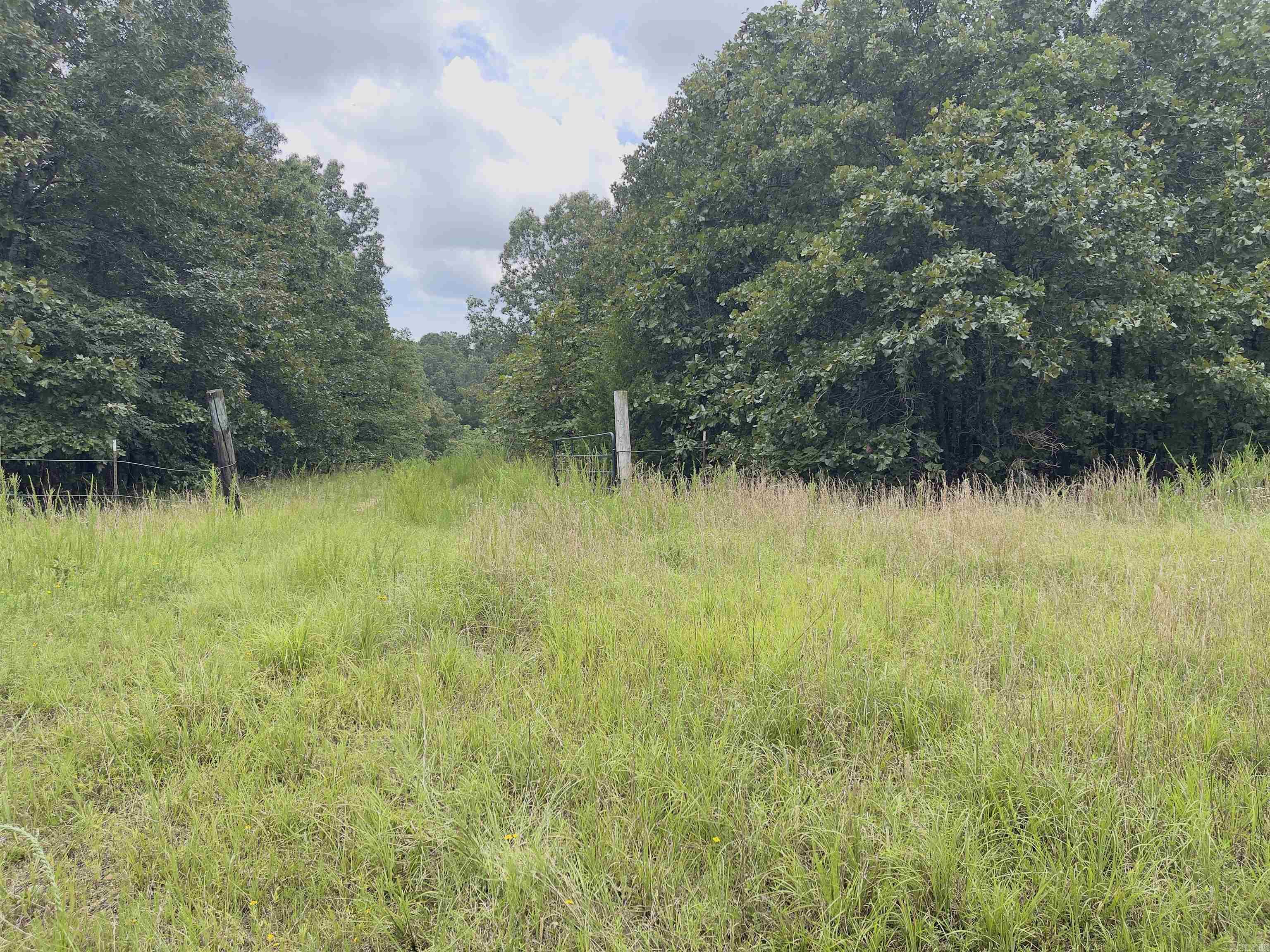 Photo 7 - Vacant Land for sale – TBD  Turkey Springs Ranch Ln   Highland, AR