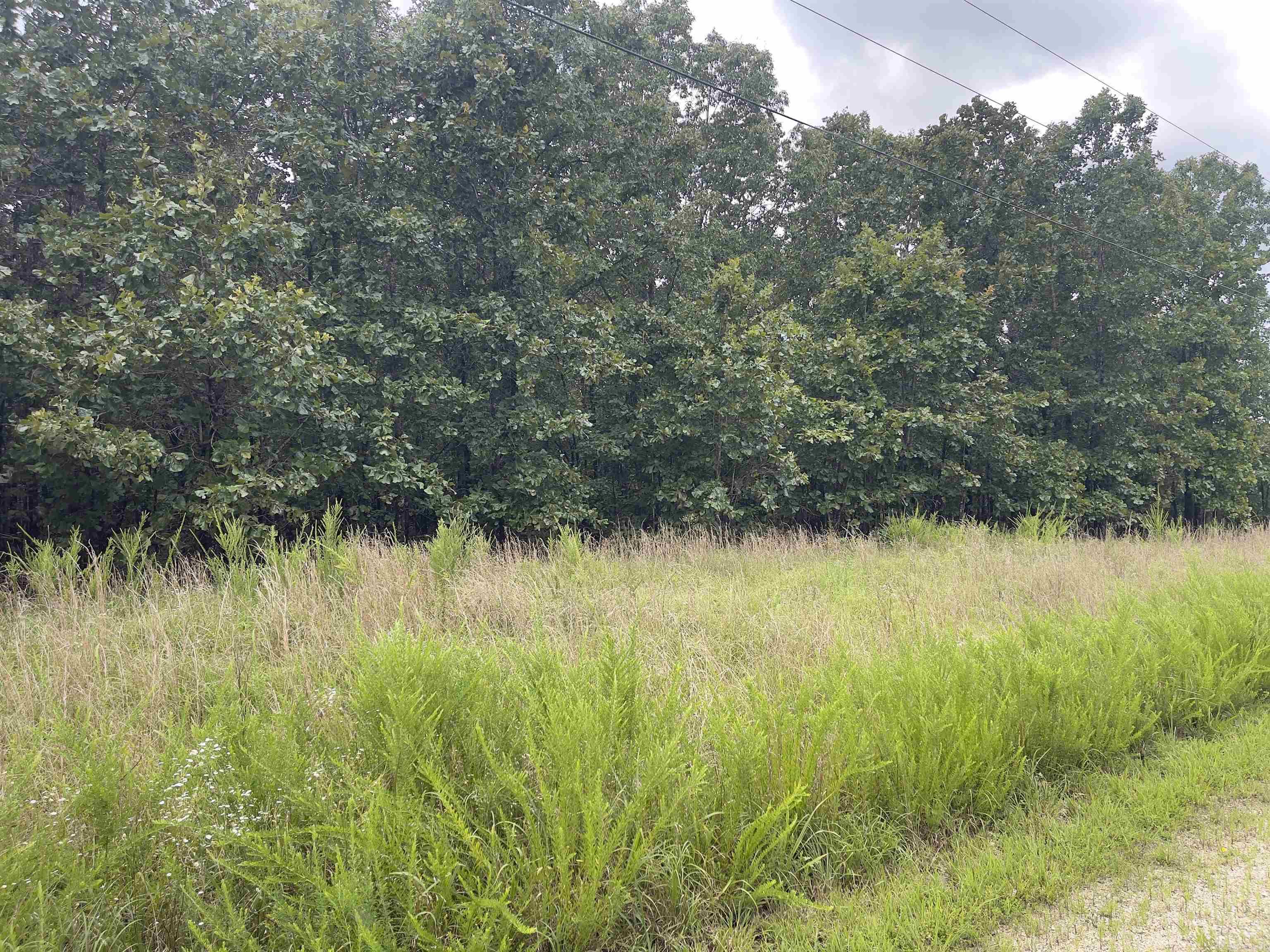Photo 9 - Vacant Land for sale – TBD  Turkey Springs Ranch Ln   Highland, AR