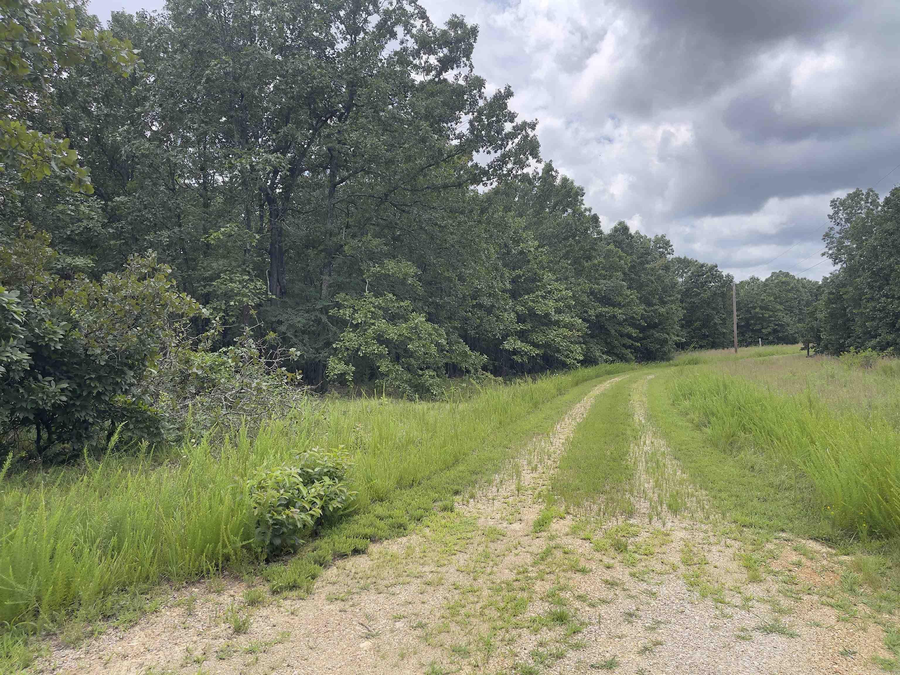 Photo 10 - Vacant Land for sale – TBD  Turkey Springs Ranch Ln   Highland, AR