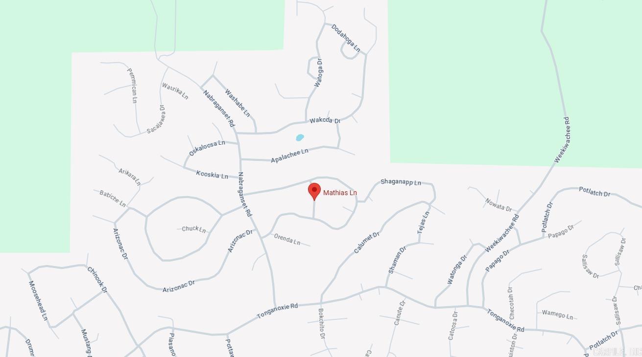 Photo 3 - Vacant Land for sale – Lot 12  Mathias   Cherokee Village, AR