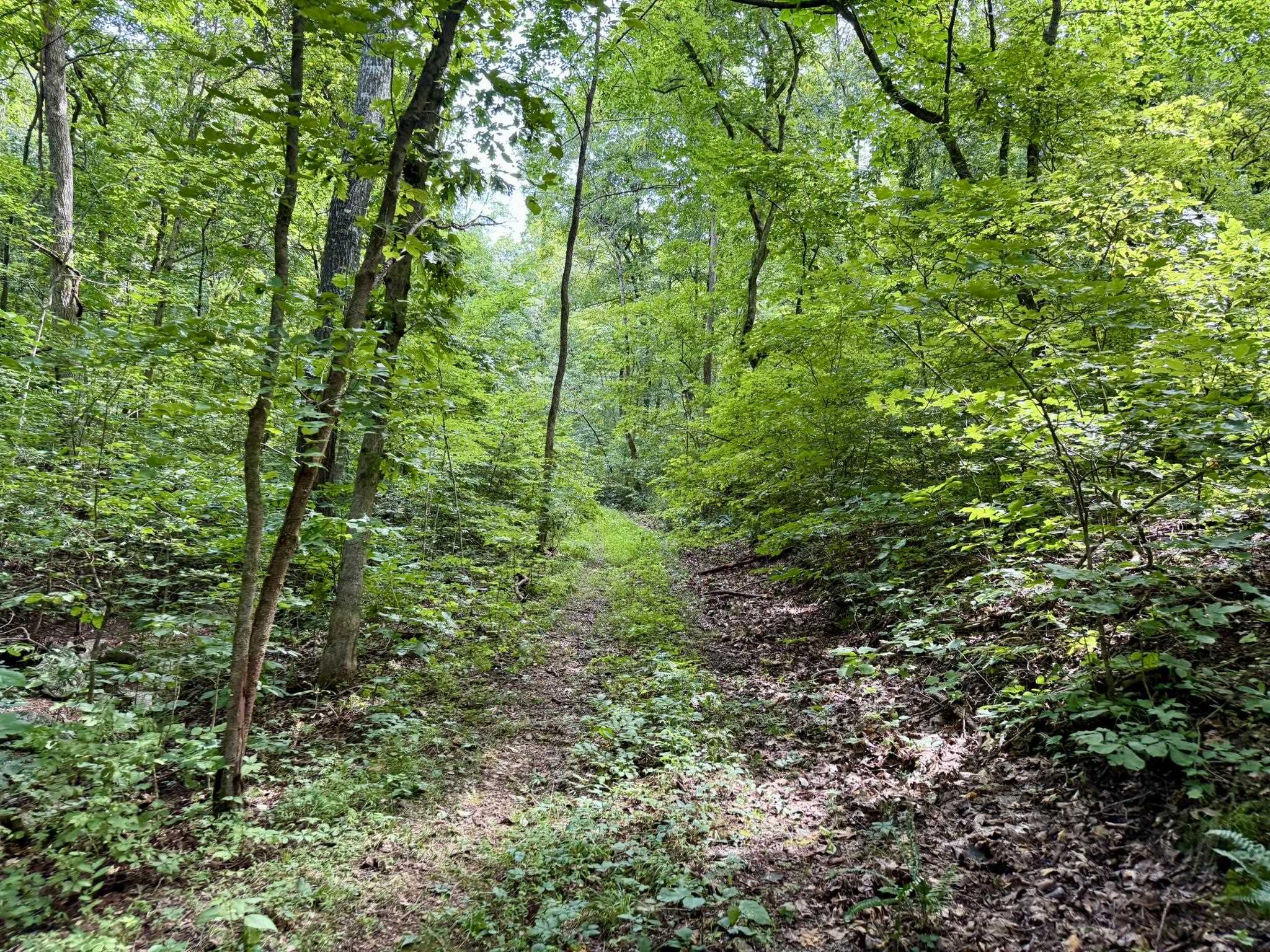 Photo 33 - Residential for sale – 2061  McKnight Road   Guion, AR