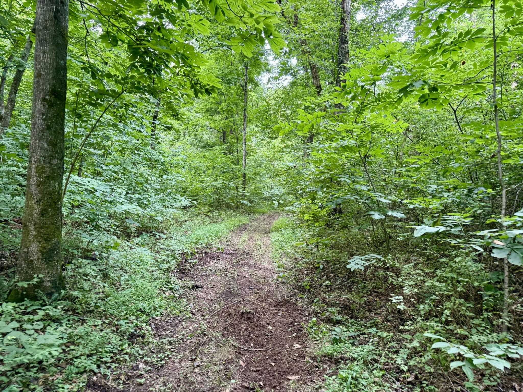 Photo 37 - Residential for sale – 2061  McKnight Road   Guion, AR