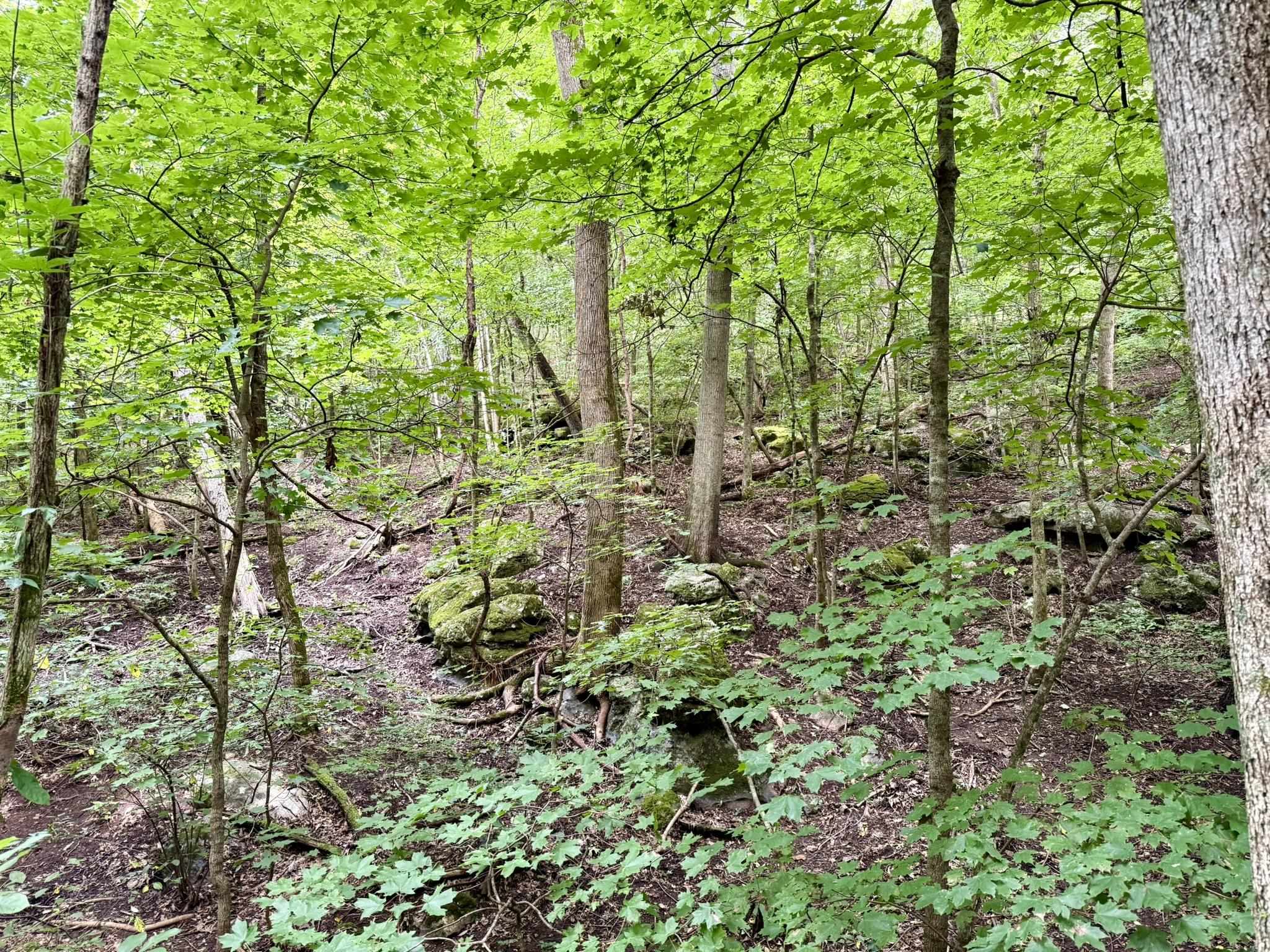 Photo 38 - Residential for sale – 2061  McKnight Road   Guion, AR