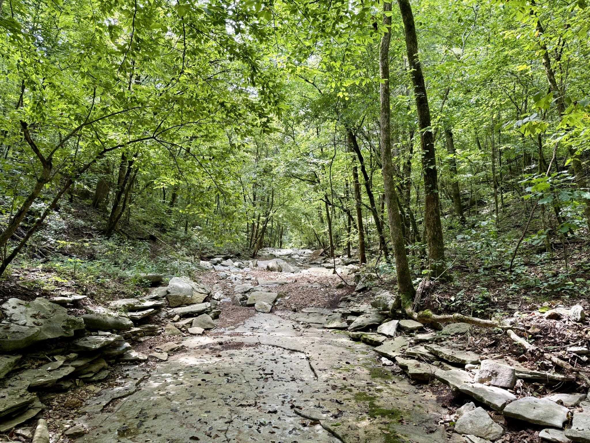 Photo 39 - Residential for sale – 2061  McKnight Road   Guion, AR