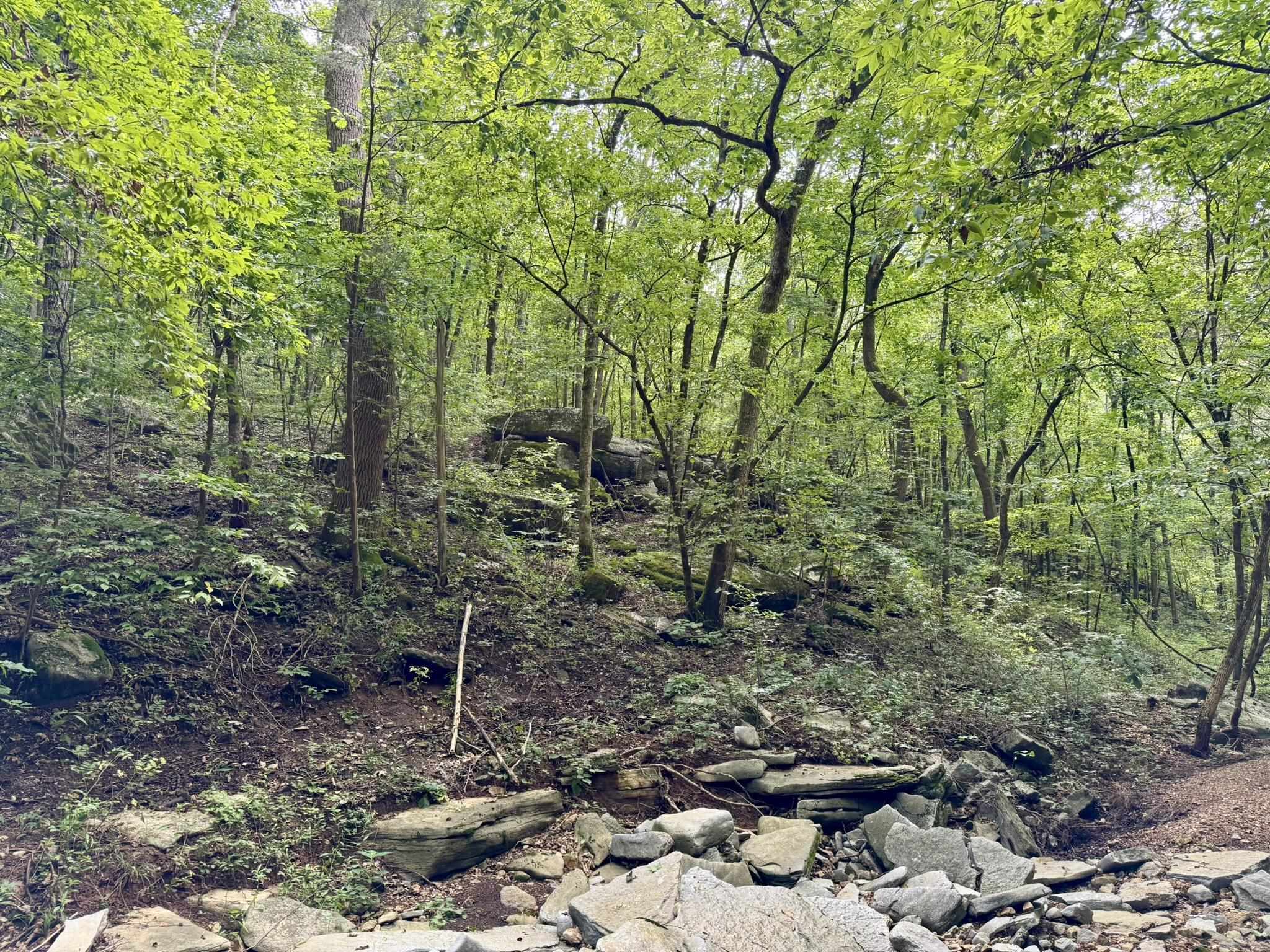 Photo 40 - Residential for sale – 2061  McKnight Road   Guion, AR