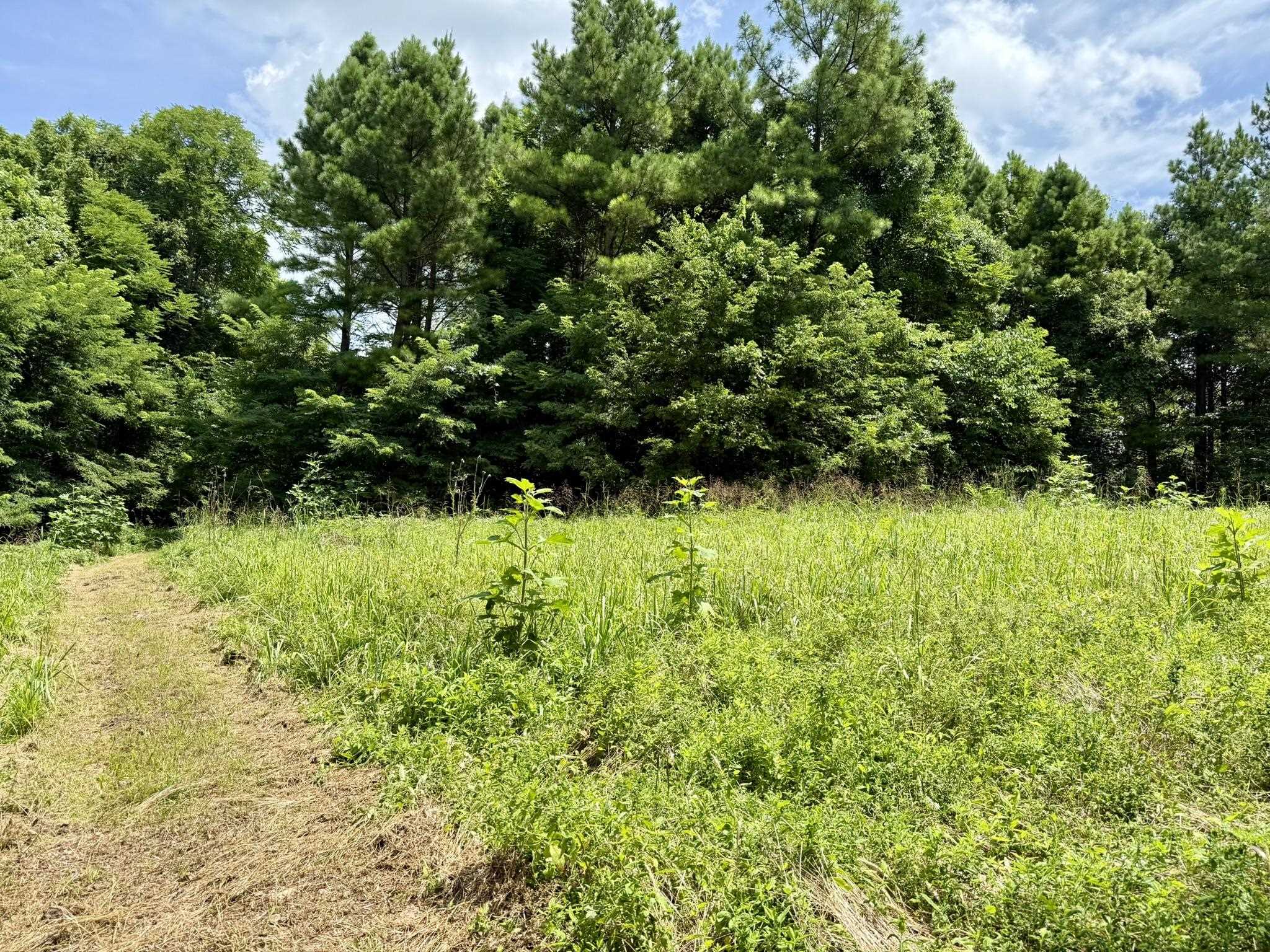 Photo 41 - Residential for sale – 2061  McKnight Road   Guion, AR