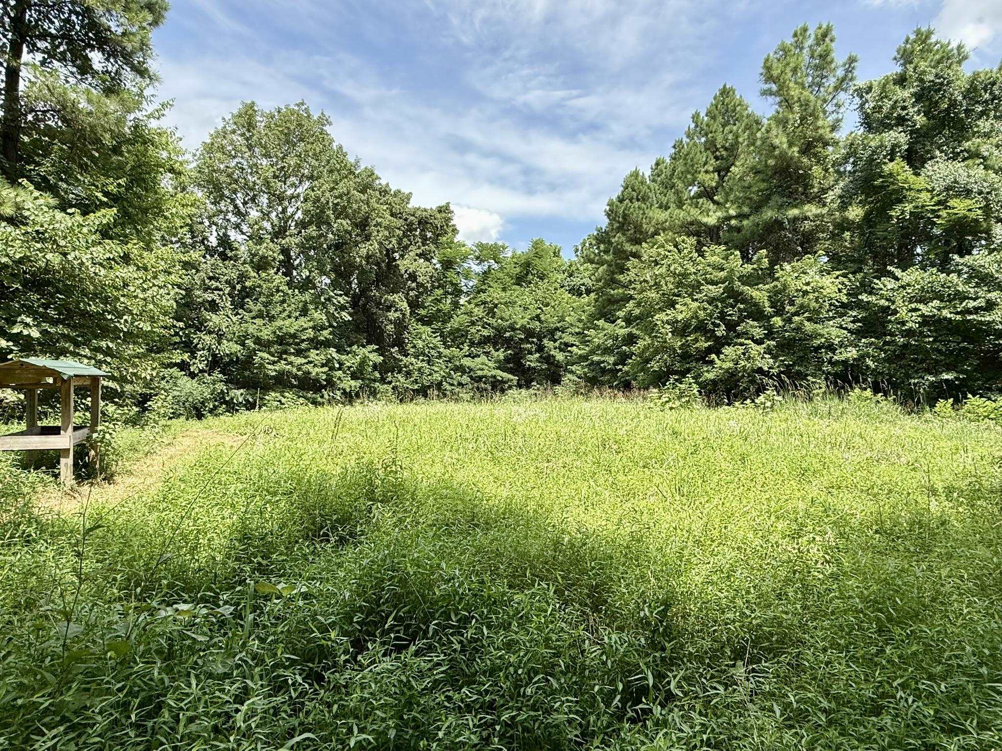 Photo 42 - Residential for sale – 2061  McKnight Road   Guion, AR