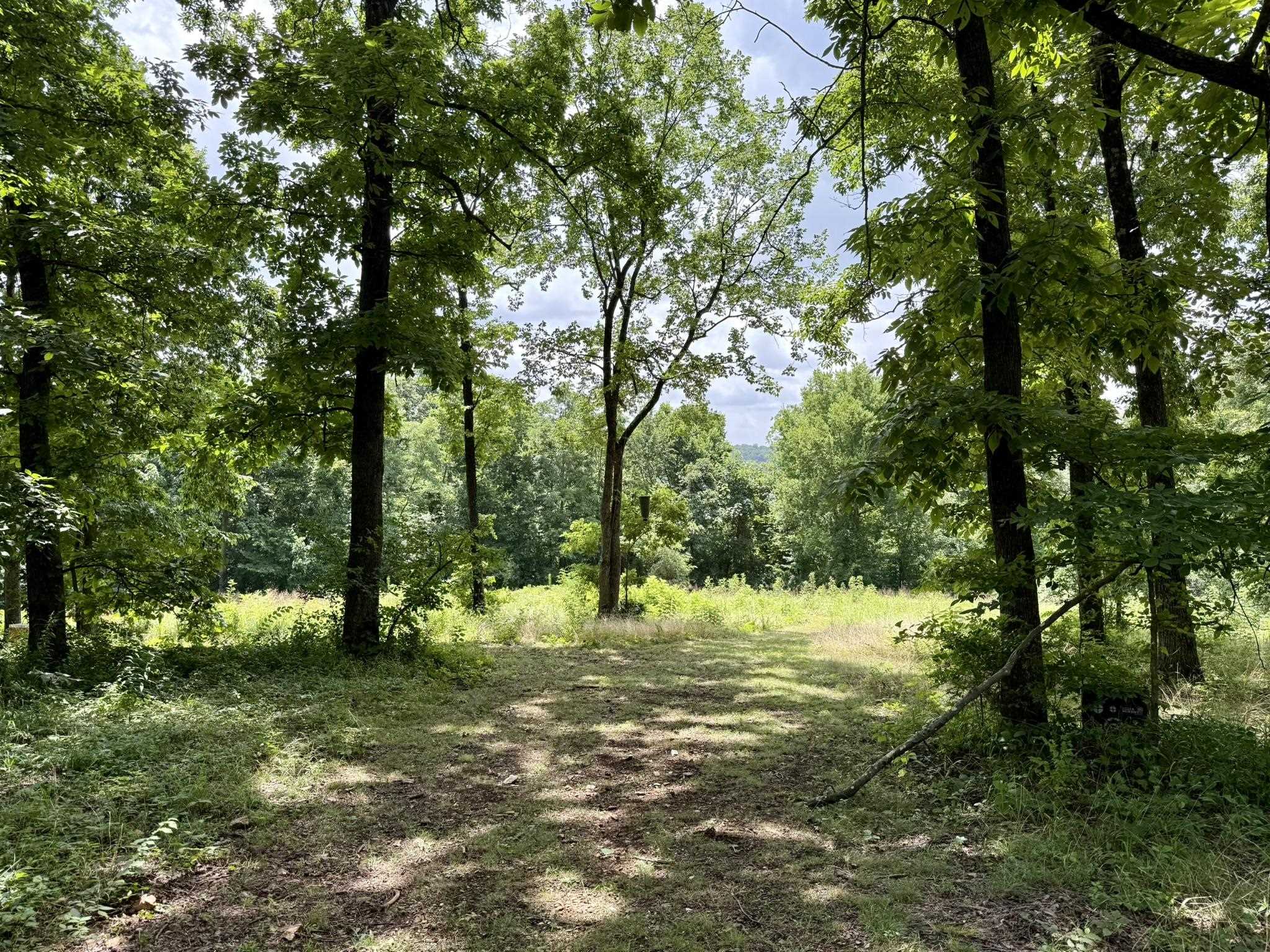 Photo 43 - Residential for sale – 2061  McKnight Road   Guion, AR