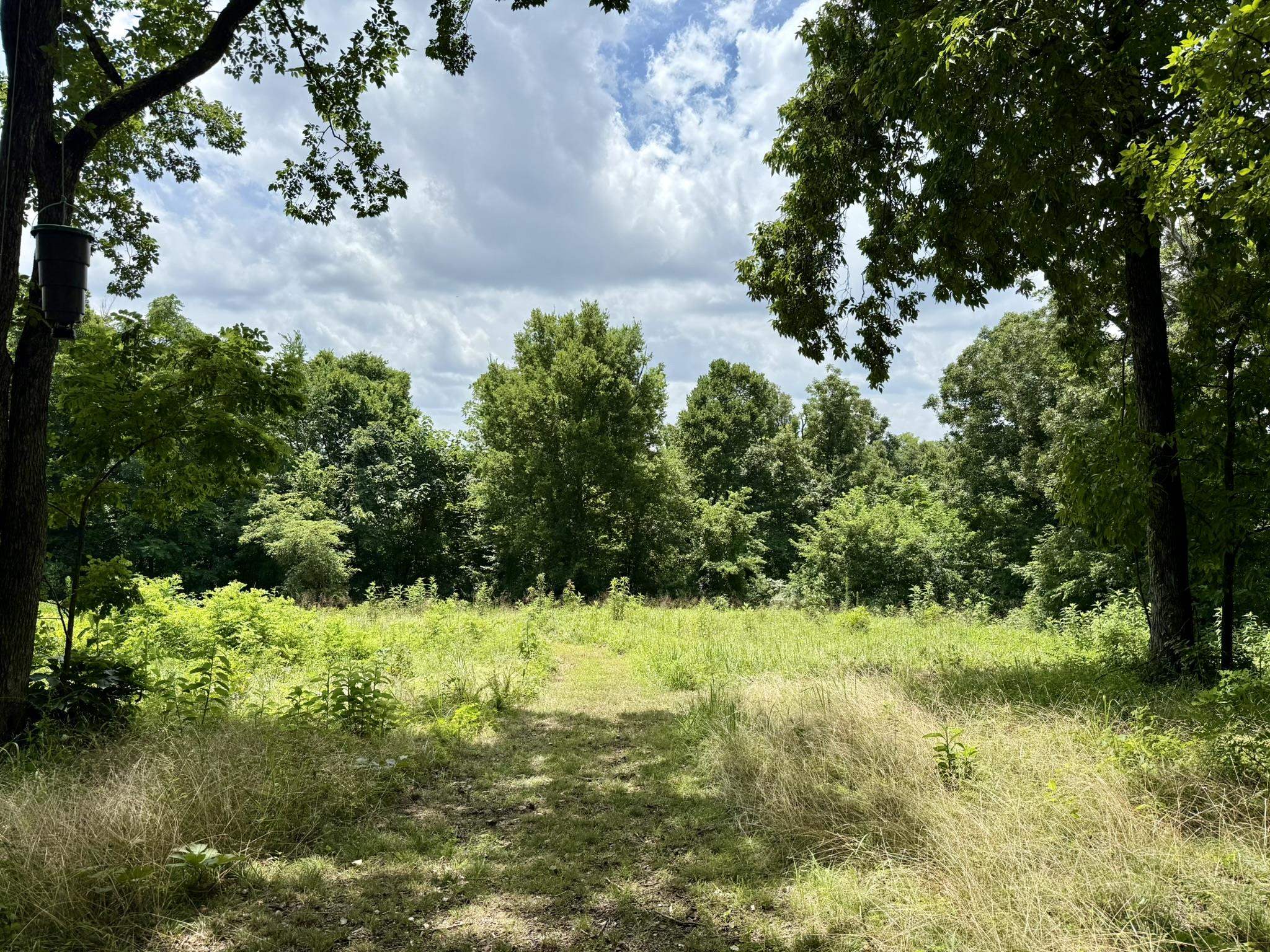 Photo 44 - Residential for sale – 2061  McKnight Road   Guion, AR