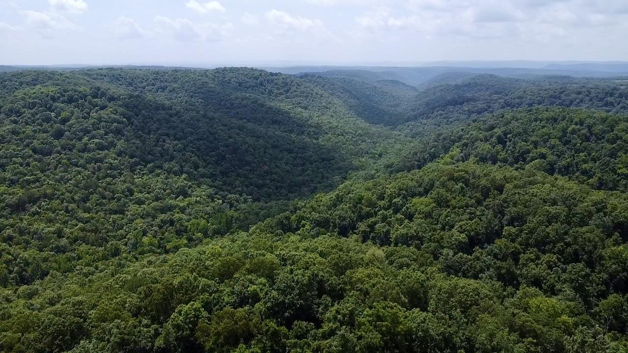 Photo 49 - Residential for sale – 2061  McKnight Road   Guion, AR