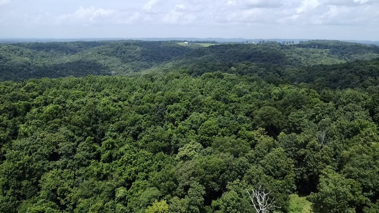 Photo 50 - Residential for sale – 2061  McKnight Road   Guion, AR