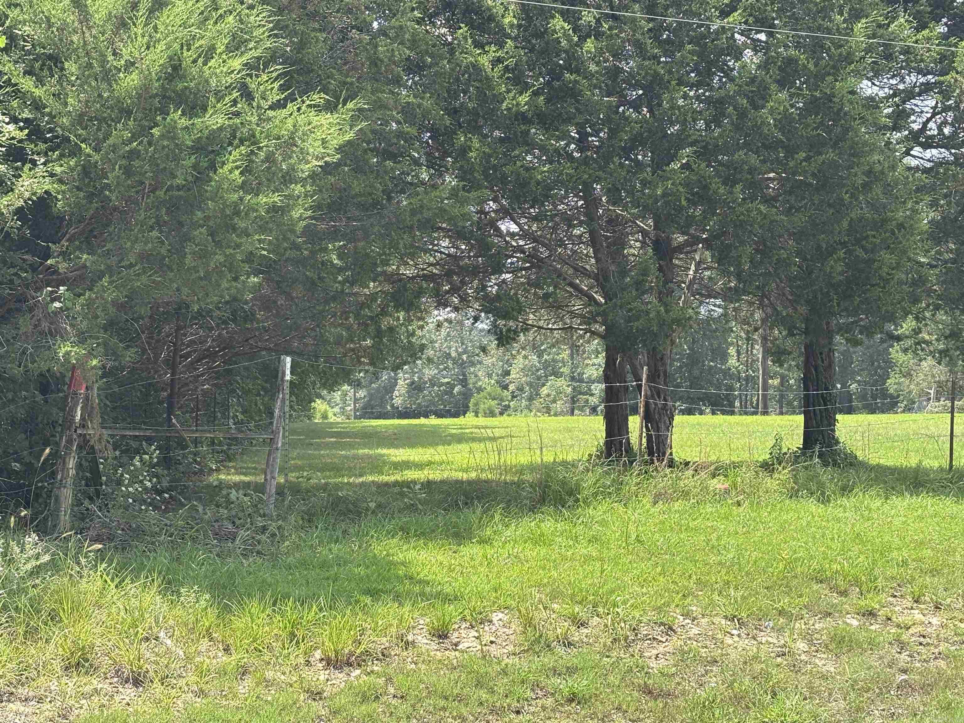 Photo 2 - Vacant Land for sale –   AR Hwy 58   Williford, AR