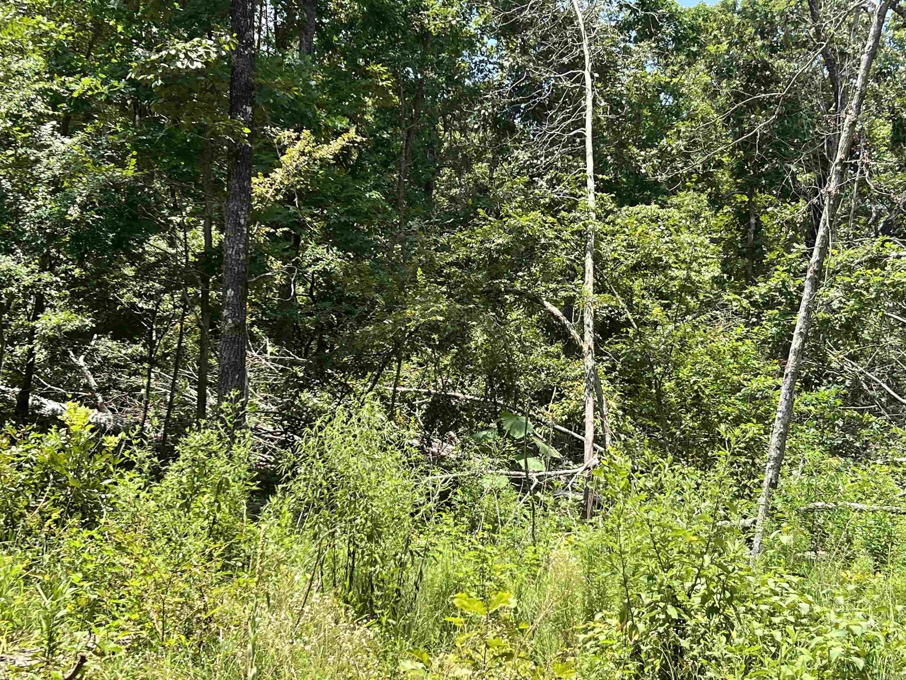 Vacant Land for sale – 000  Foxfield Road   Mammoth Spring, AR