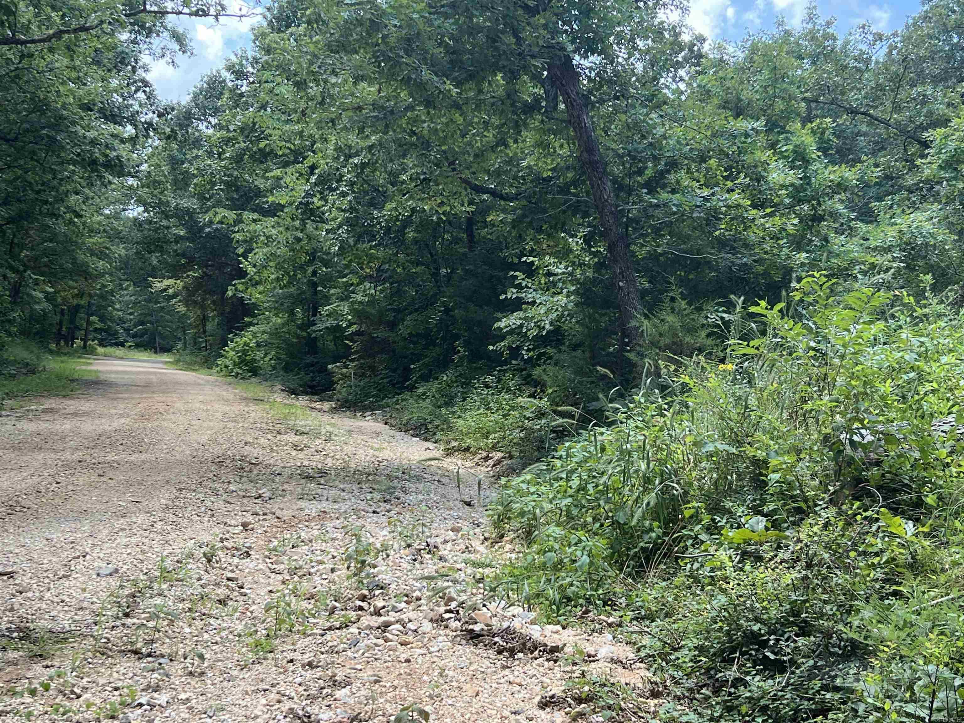 Photo 3 - Vacant Land for sale – 000  Foxfield Road   Mammoth Spring, AR
