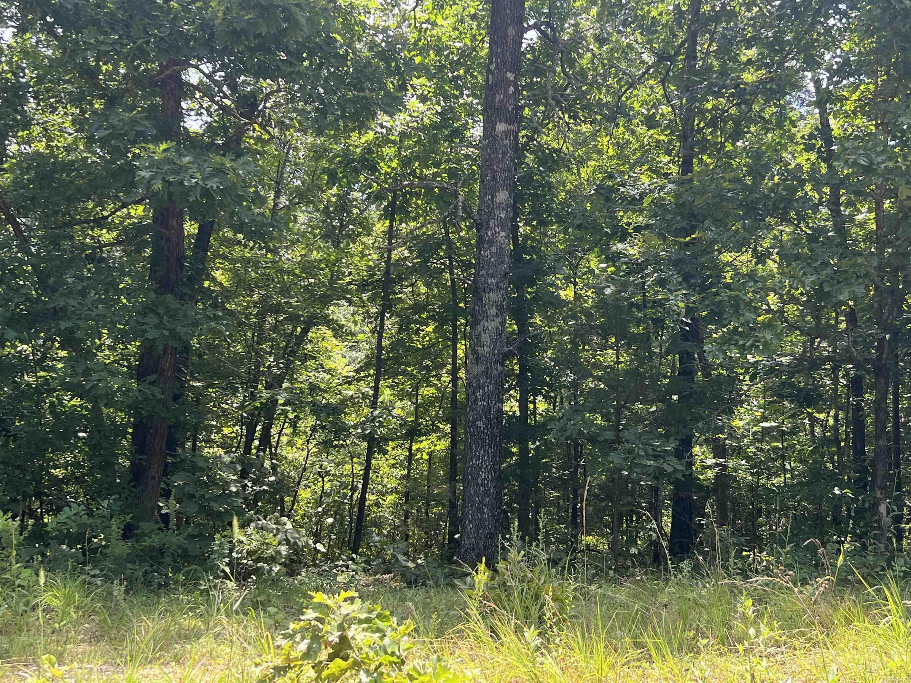 Photo 4 - Vacant Land for sale – 000  Foxfield Road   Mammoth Spring, AR