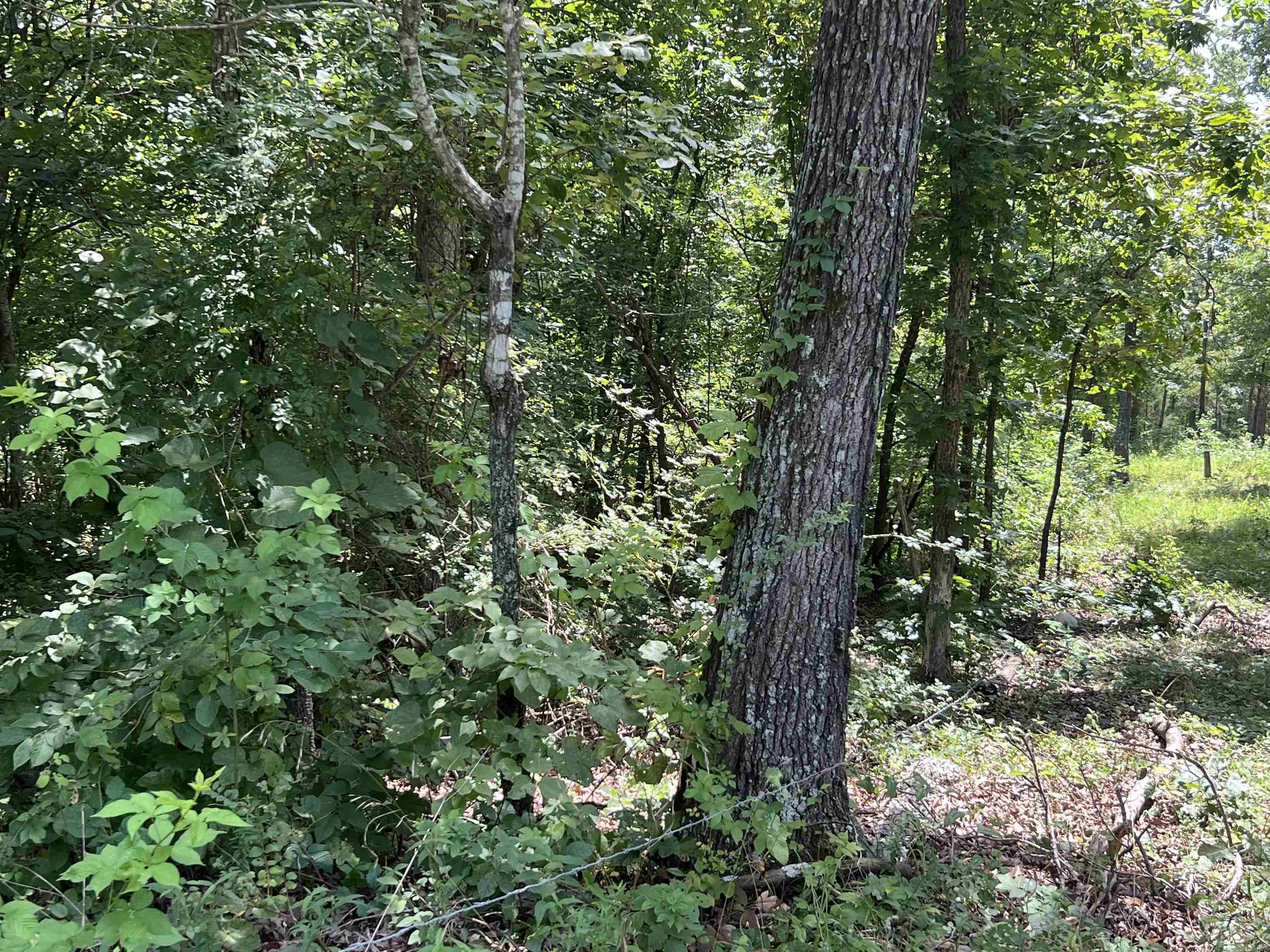 Photo 5 - Vacant Land for sale – 000  Foxfield Road   Mammoth Spring, AR