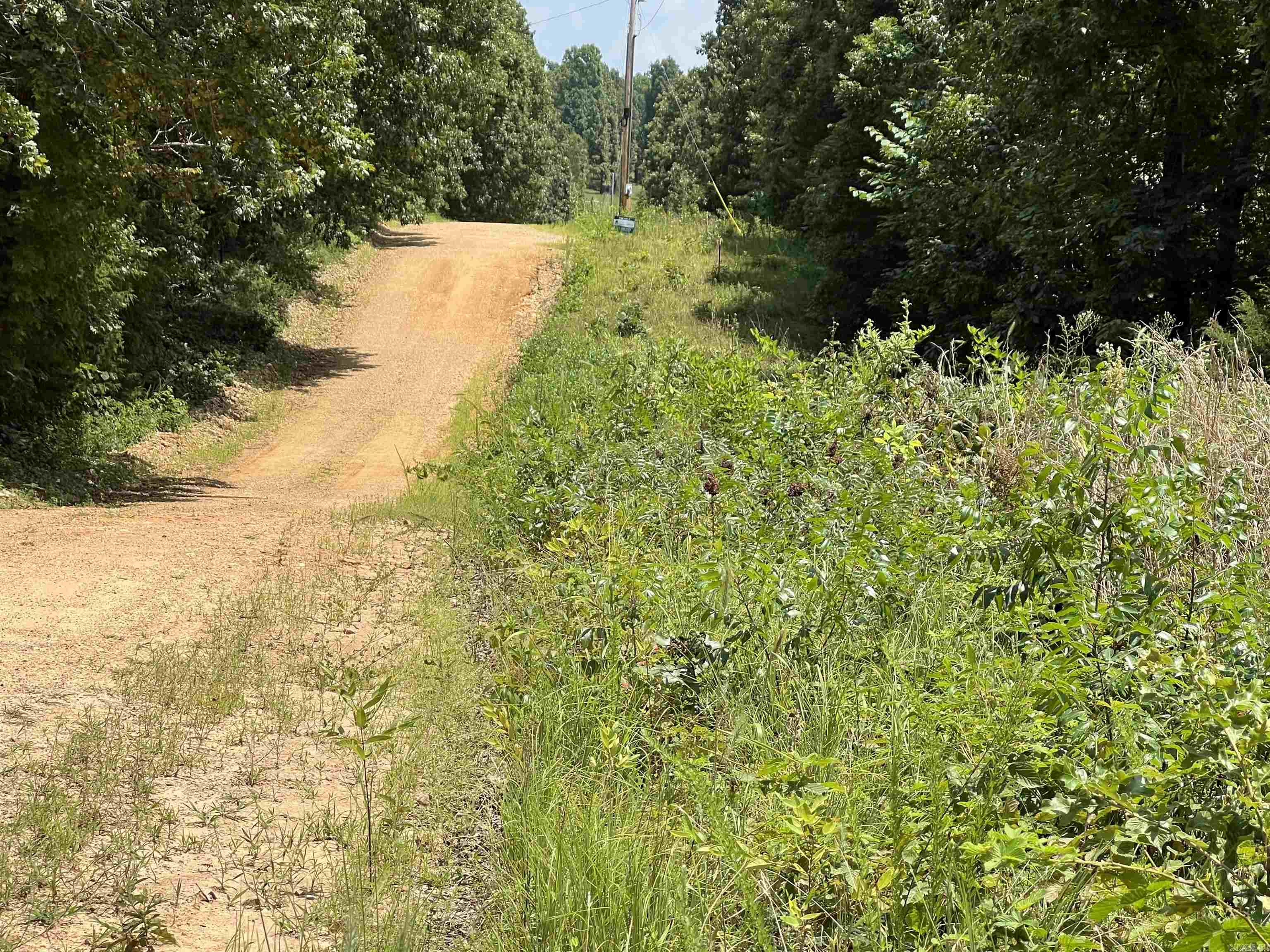 Photo 6 - Vacant Land for sale – 000  Foxfield Road   Mammoth Spring, AR