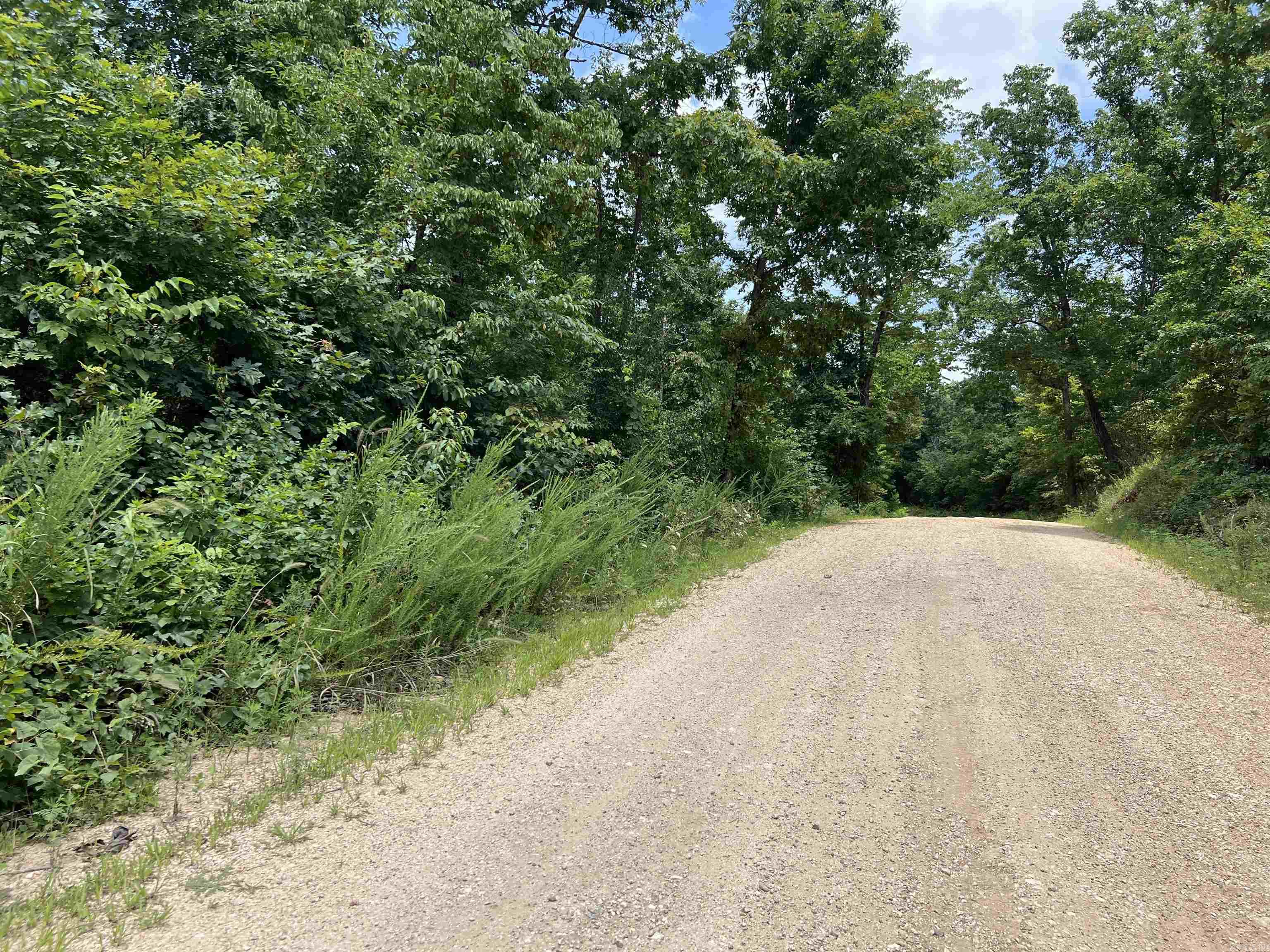 Photo 7 - Vacant Land for sale – 000  Foxfield Road   Mammoth Spring, AR