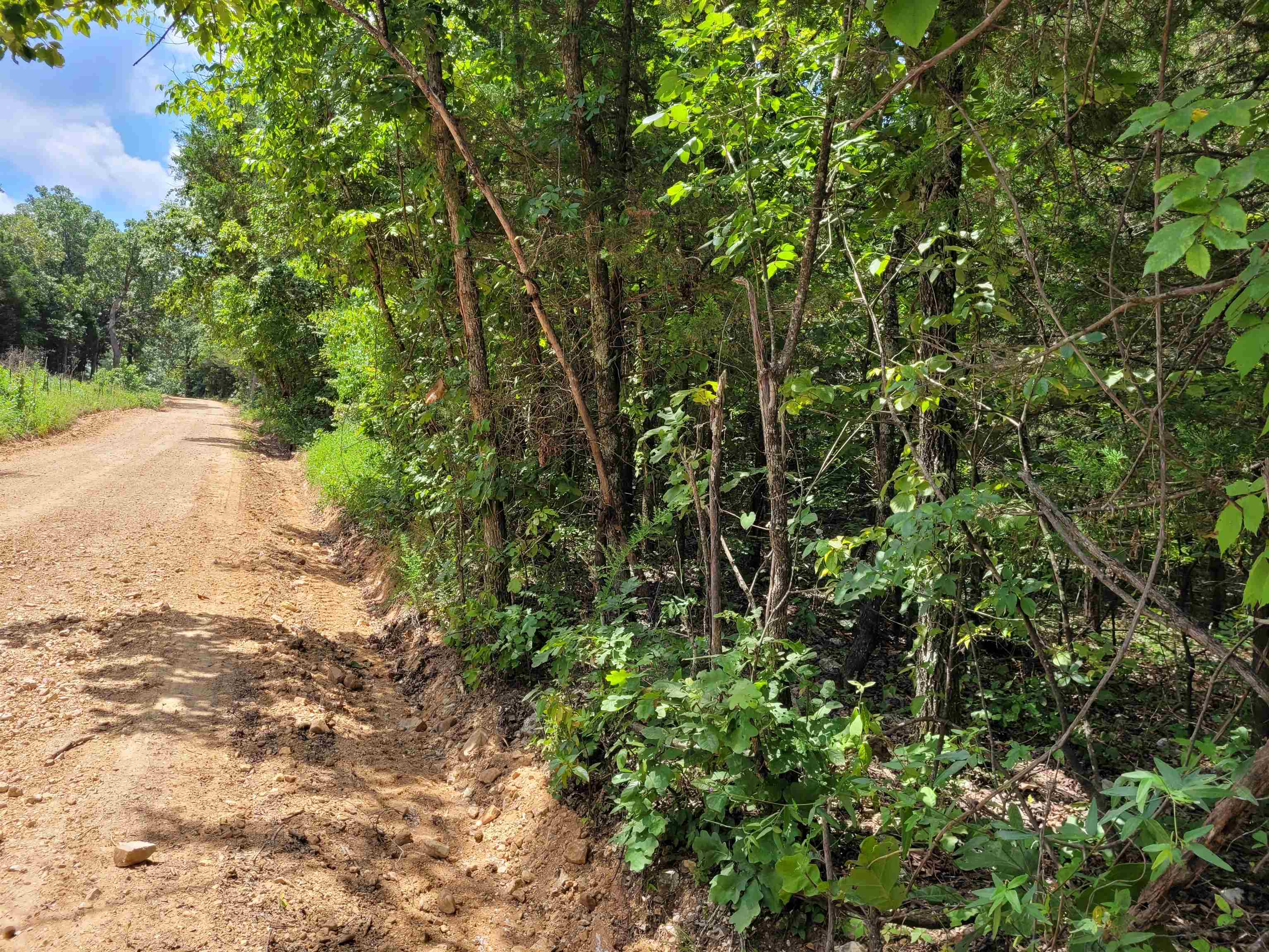 Photo 6 - Vacant Land for sale – TBD  Tall Timber Rd   Hardy, AR