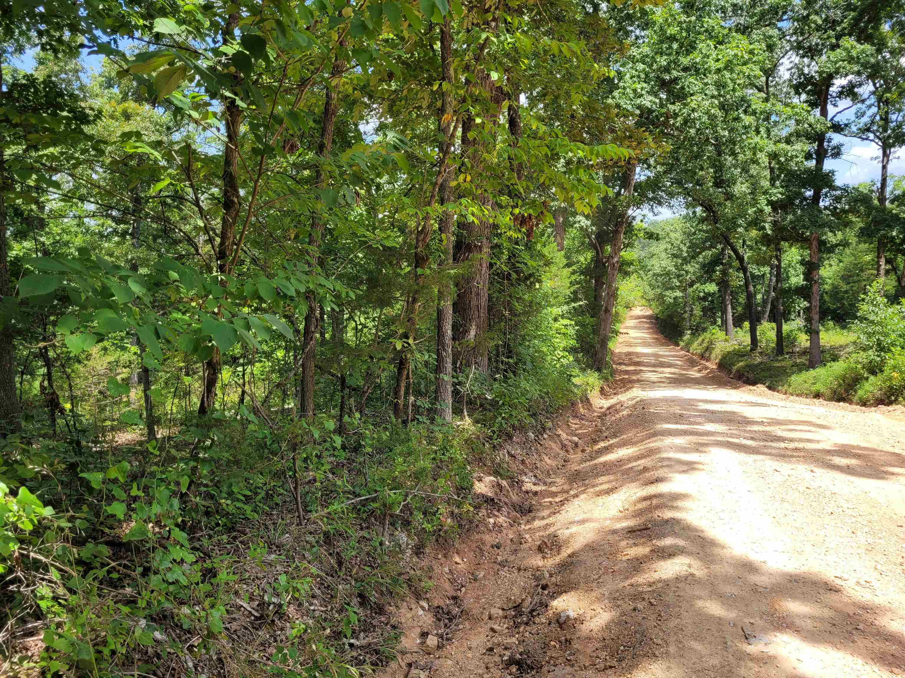 Photo 7 - Vacant Land for sale – TBD  Tall Timber Rd   Hardy, AR