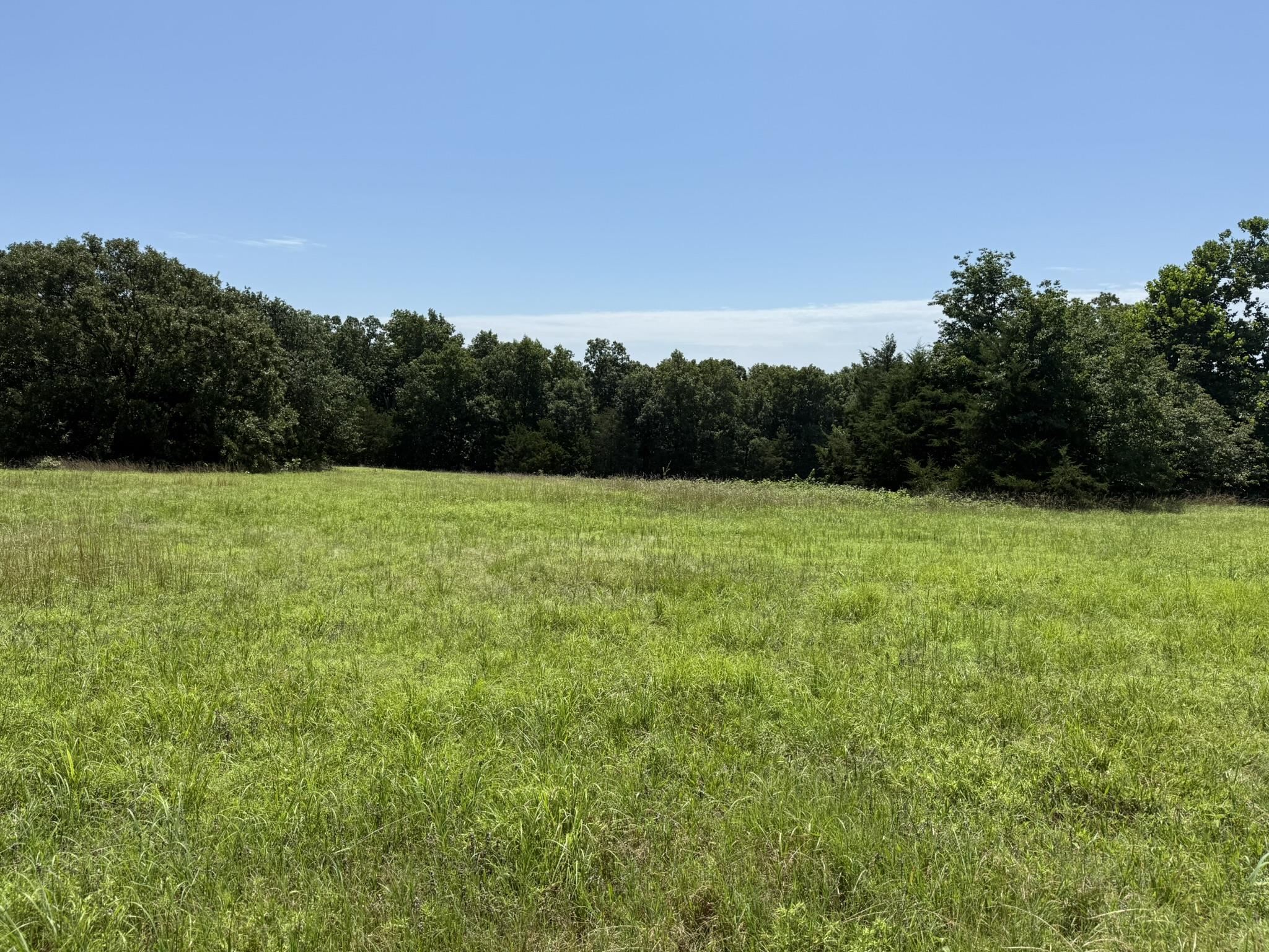 Photo 13 - Vacant Land for sale – 000  Kremer   Franklin, AR