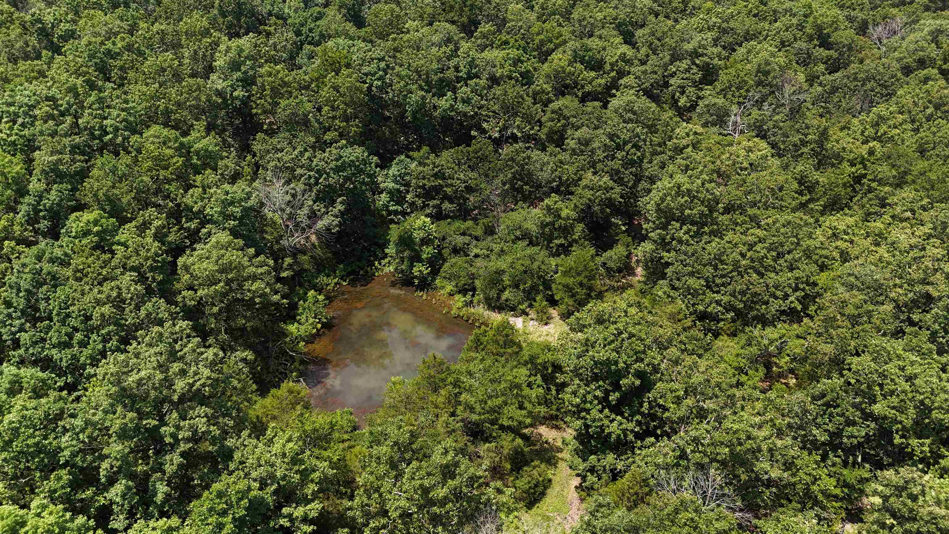 Photo 3 - Vacant Land for sale – 000  Kremer   Franklin, AR