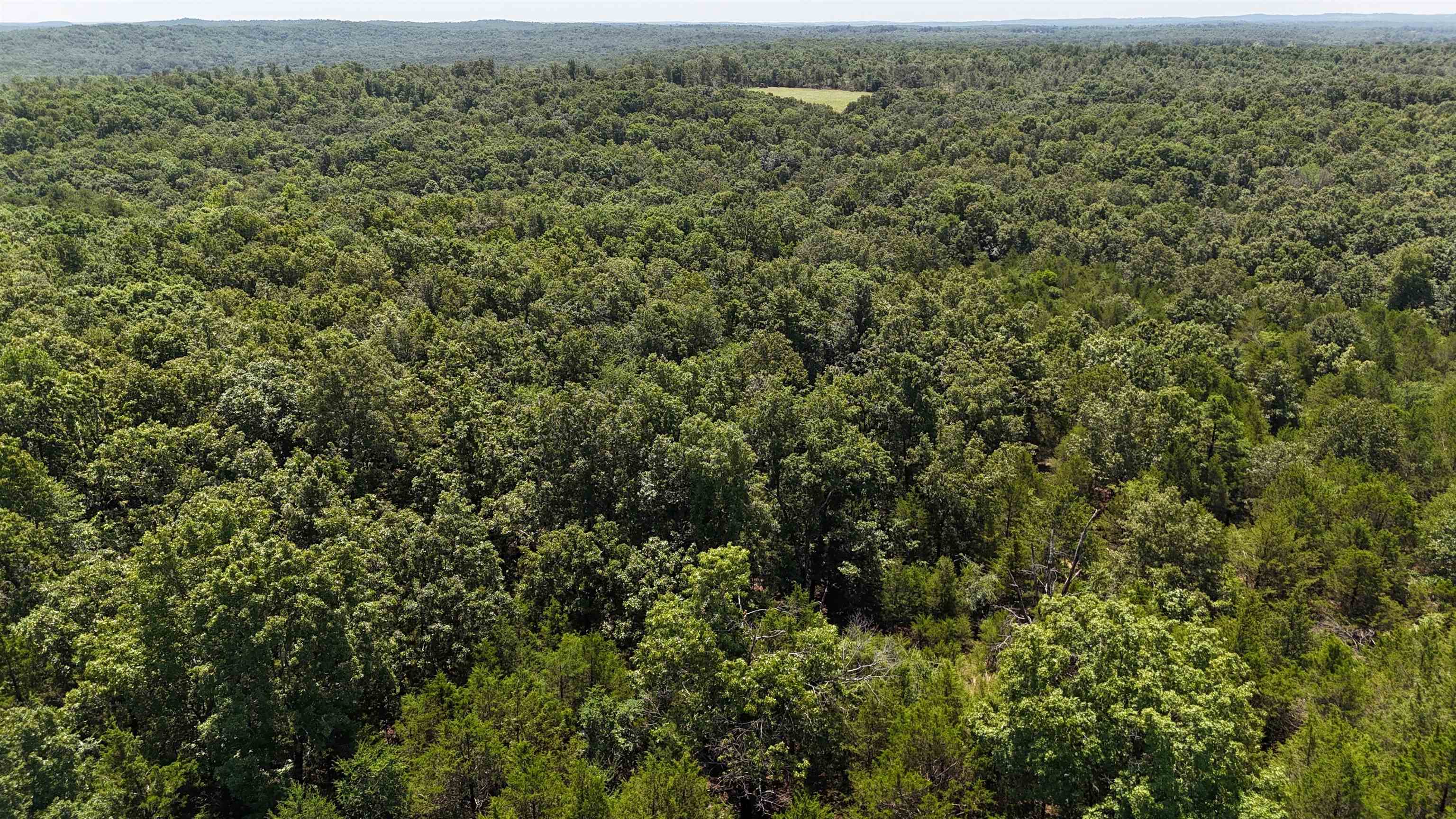 Photo 5 - Vacant Land for sale – 000  Kremer   Franklin, AR
