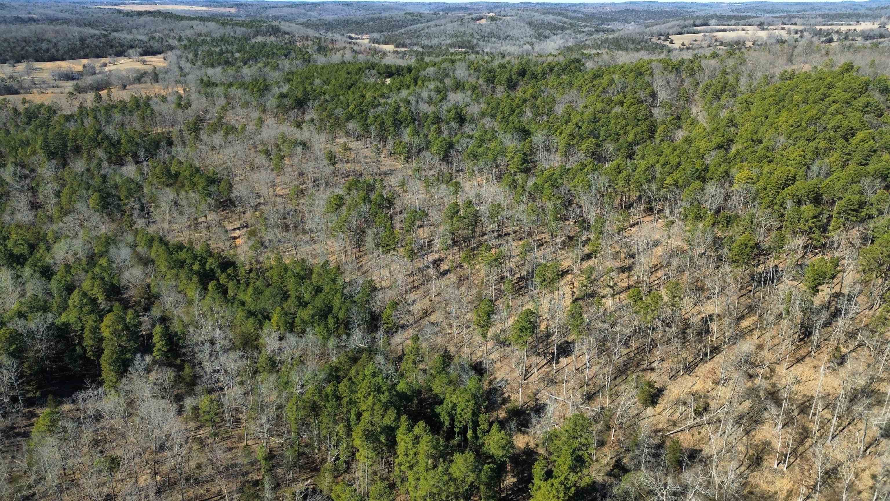 Photo 2 - Vacant Land for sale – 275A  Campground Road   Wideman, AR