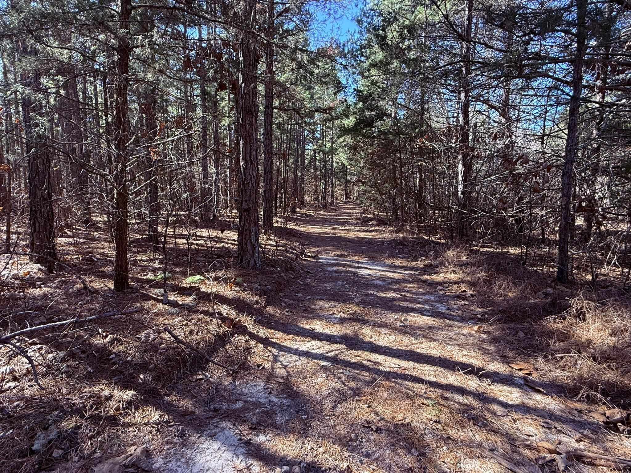 Photo 11 - Vacant Land for sale – 275A  Campground Road   Wideman, AR