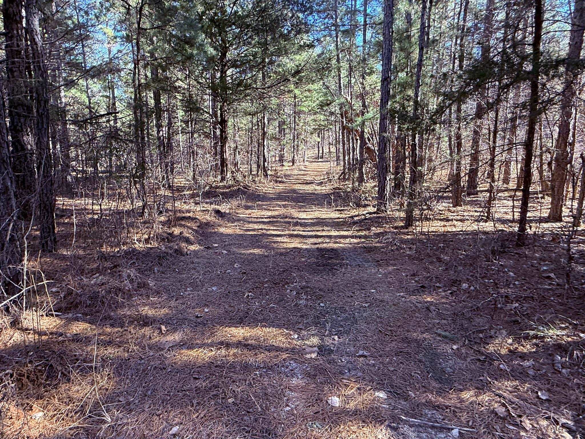 Photo 12 - Vacant Land for sale – 275A  Campground Road   Wideman, AR