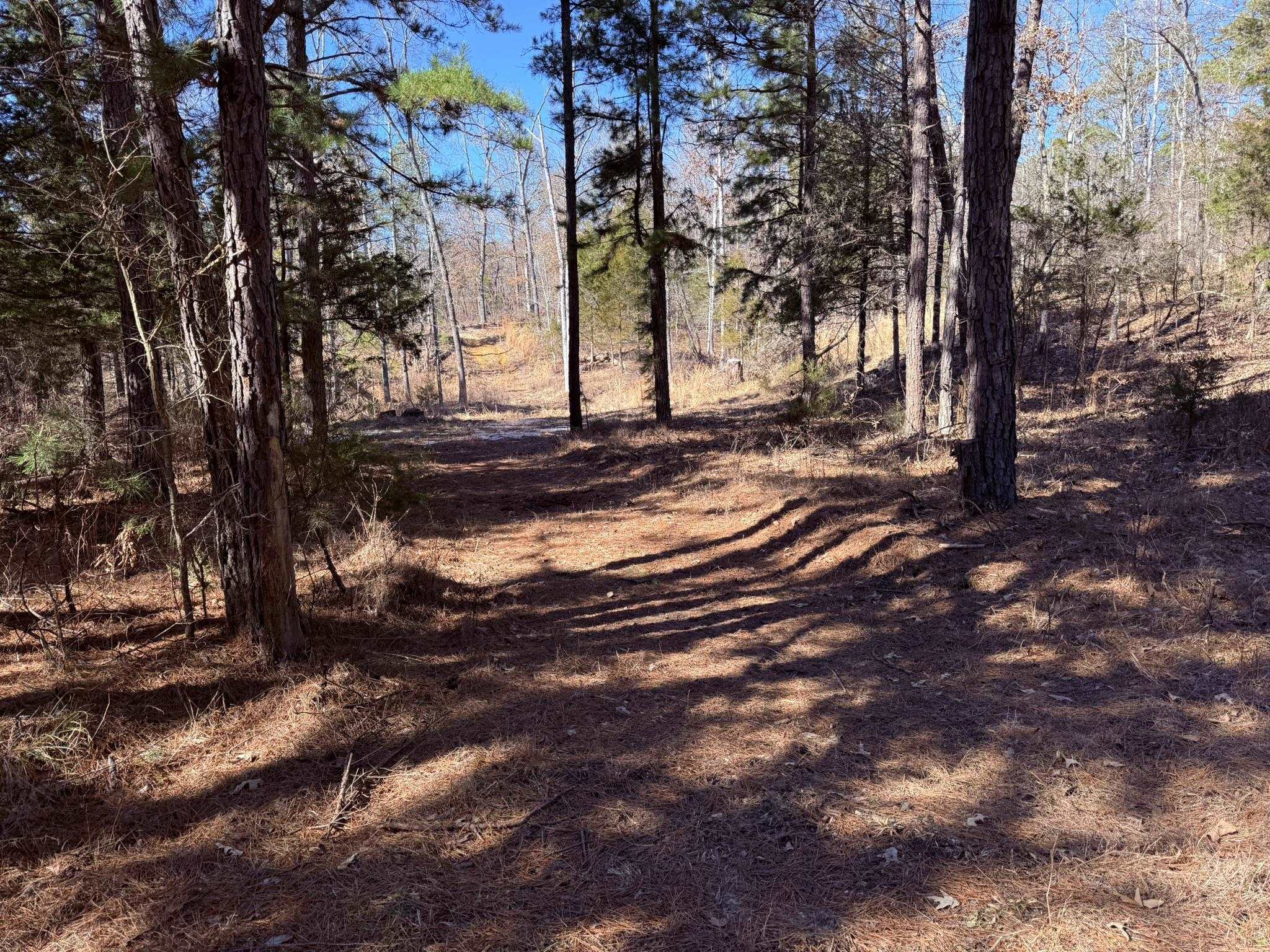 Photo 13 - Vacant Land for sale – 275A  Campground Road   Wideman, AR