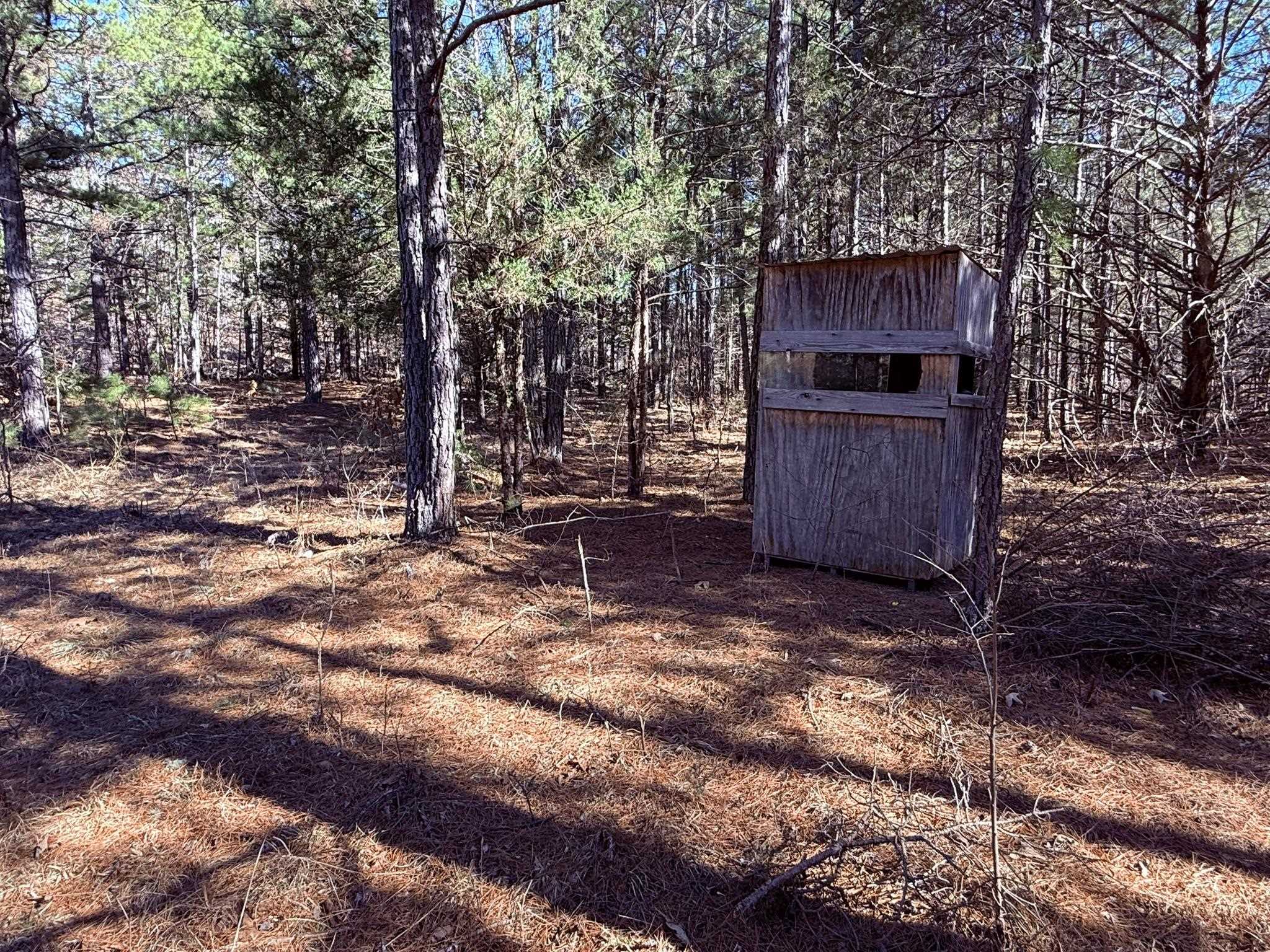 Photo 14 - Vacant Land for sale – 275A  Campground Road   Wideman, AR