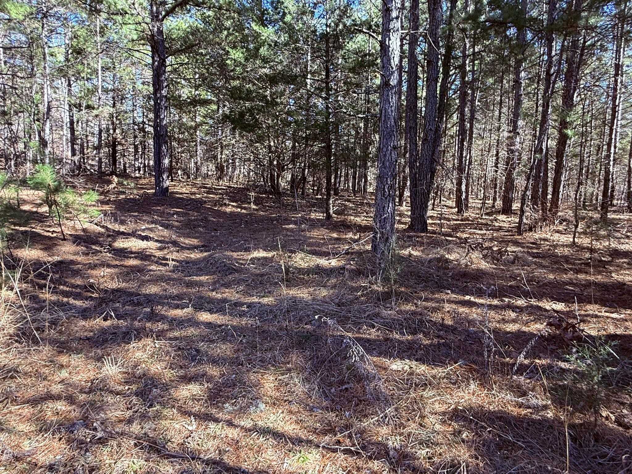 Photo 15 - Vacant Land for sale – 275A  Campground Road   Wideman, AR