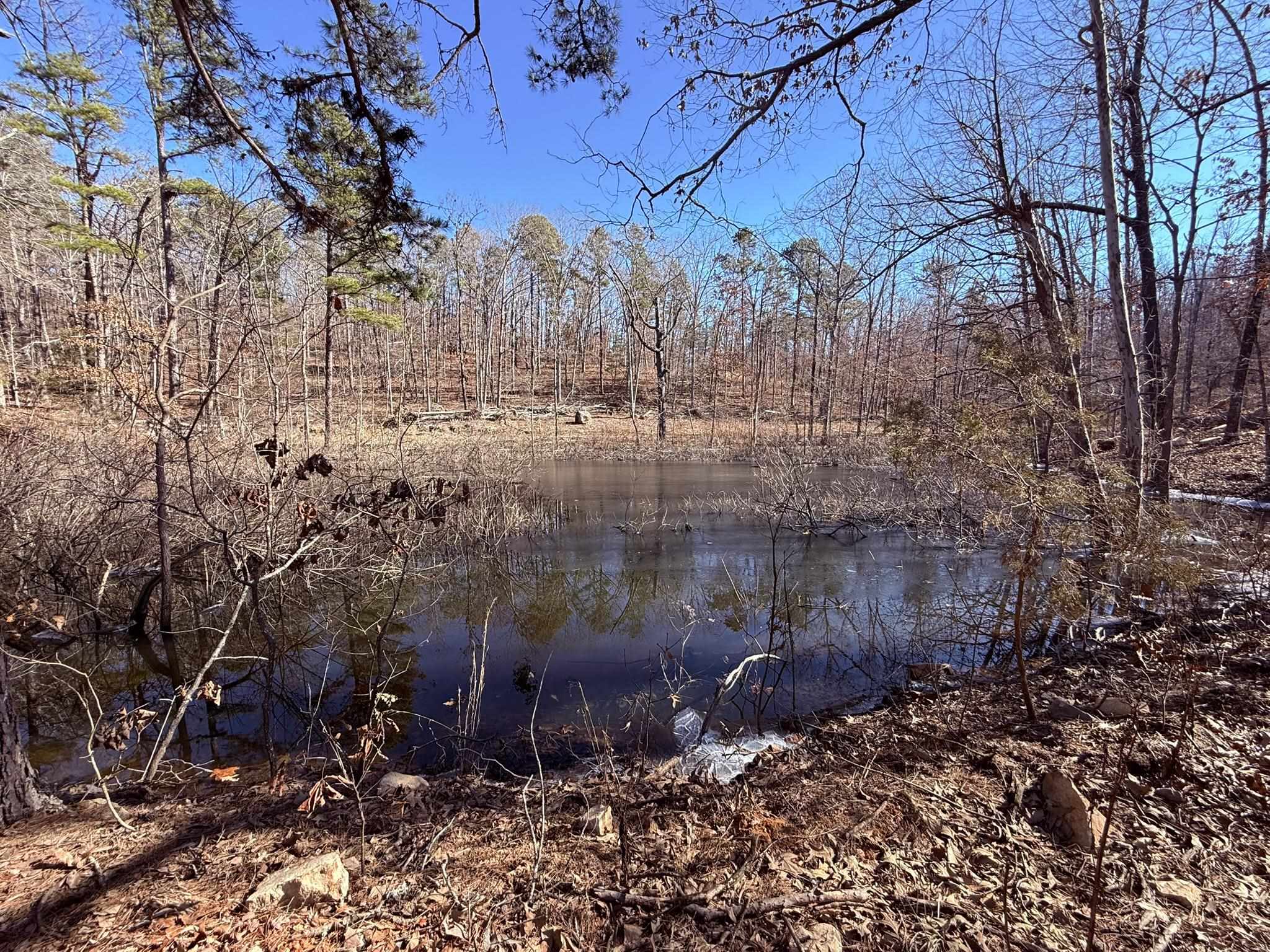 Photo 16 - Vacant Land for sale – 275A  Campground Road   Wideman, AR