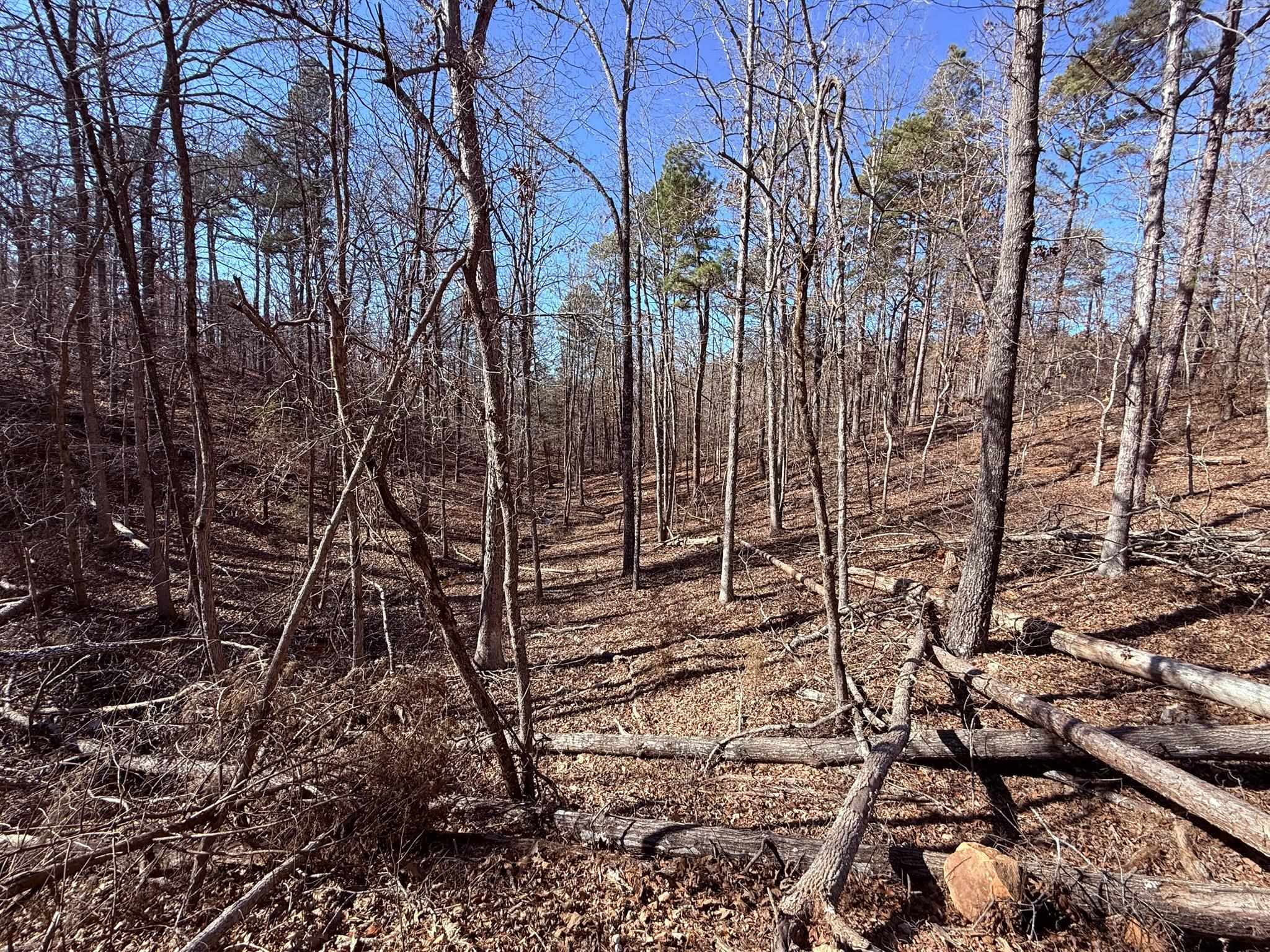 Photo 18 - Vacant Land for sale – 275A  Campground Road   Wideman, AR