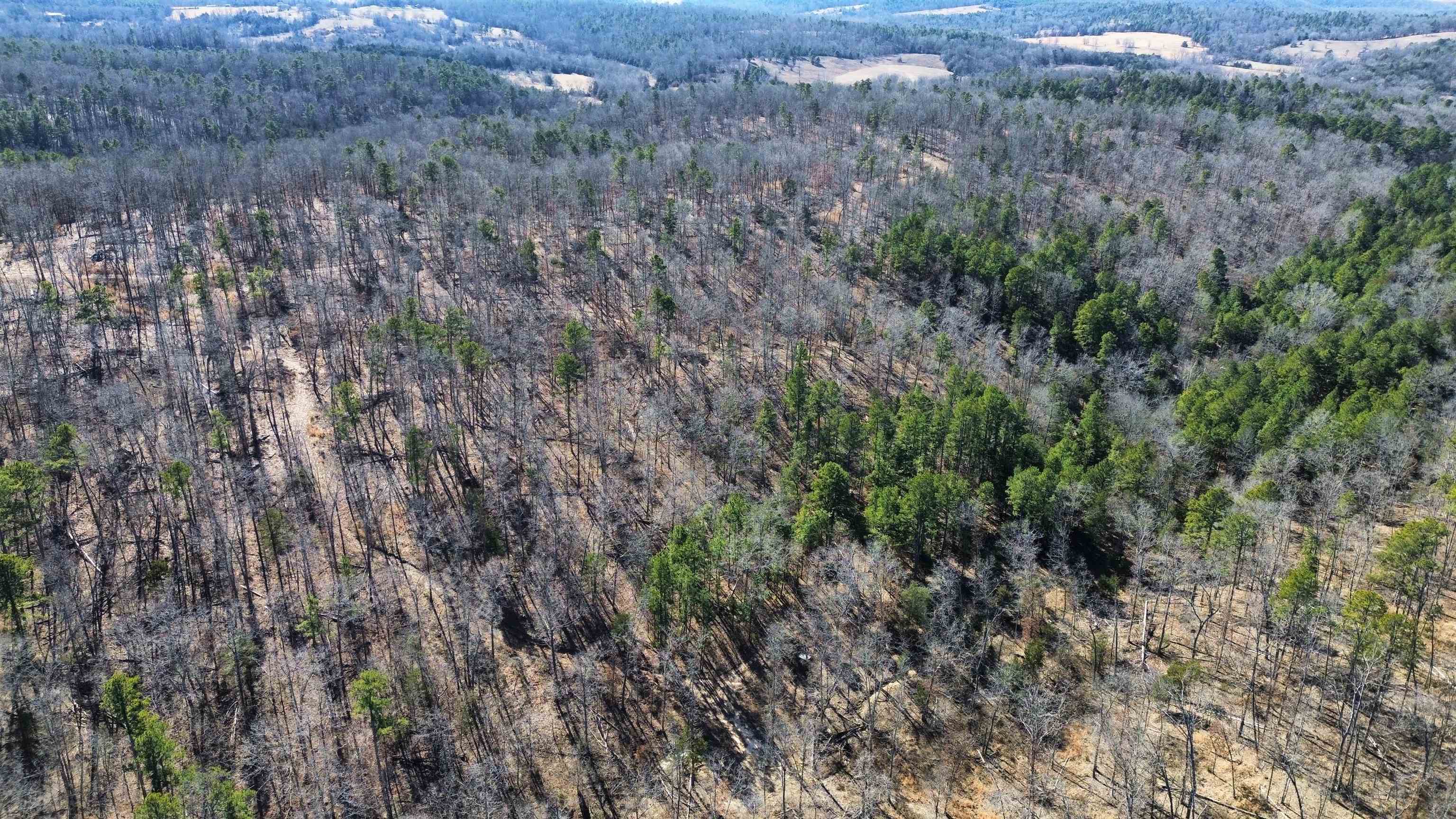 Photo 3 - Vacant Land for sale – 275A  Campground Road   Wideman, AR