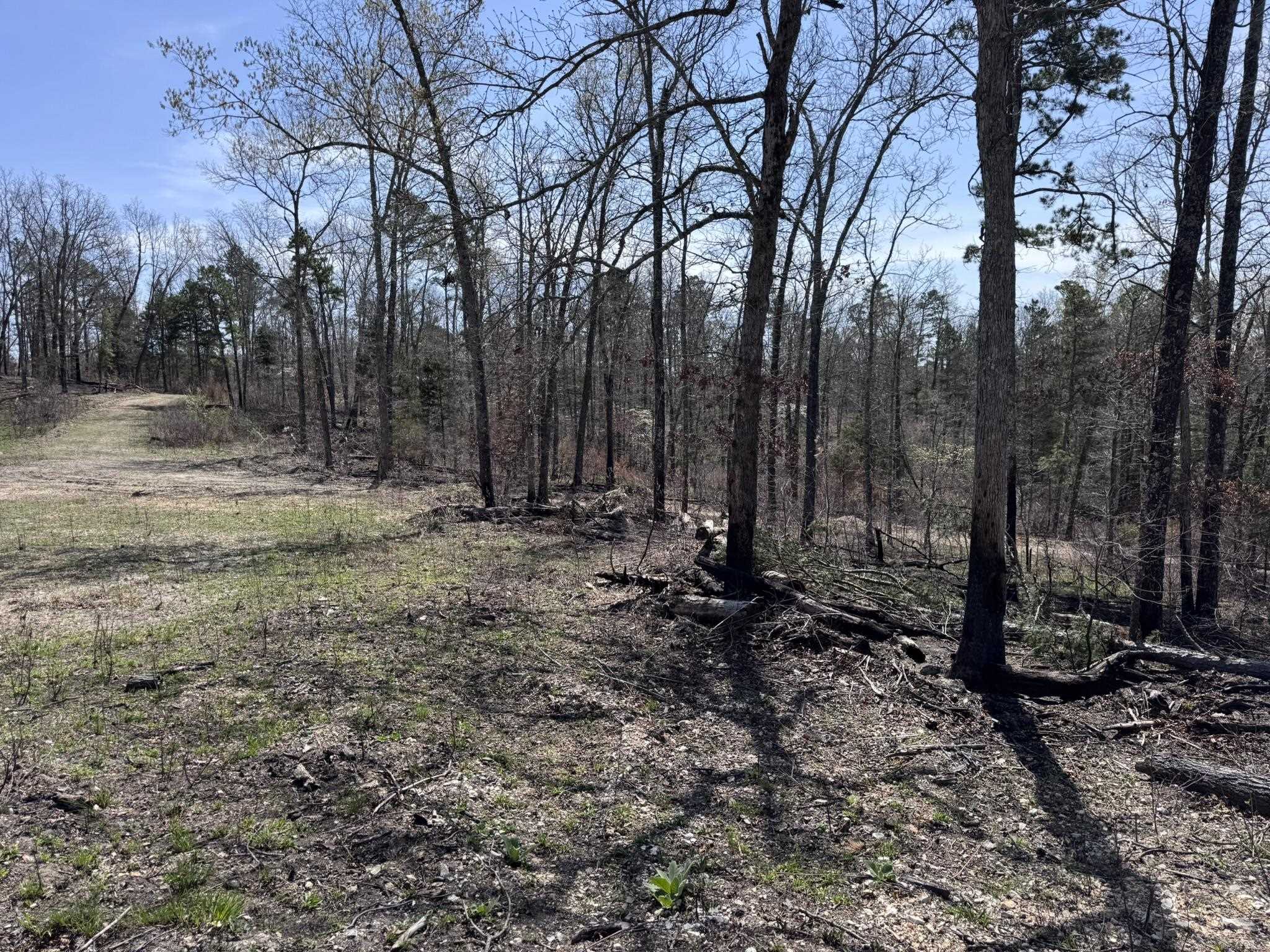 Photo 25 - Vacant Land for sale – 275A  Campground Road   Wideman, AR