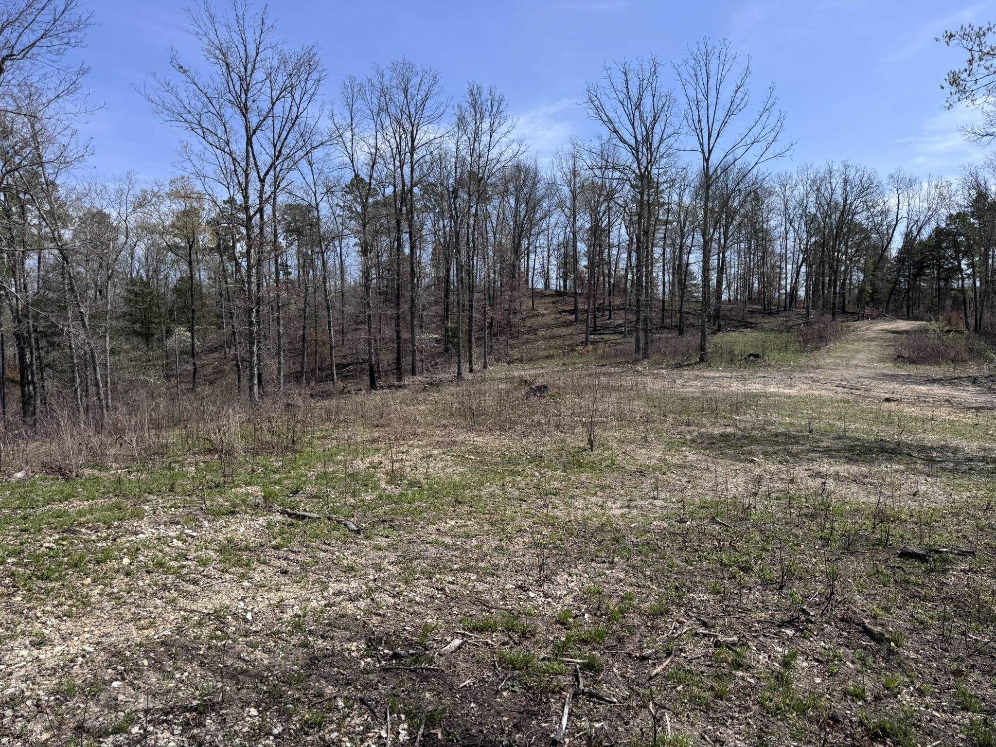 Photo 26 - Vacant Land for sale – 275A  Campground Road   Wideman, AR
