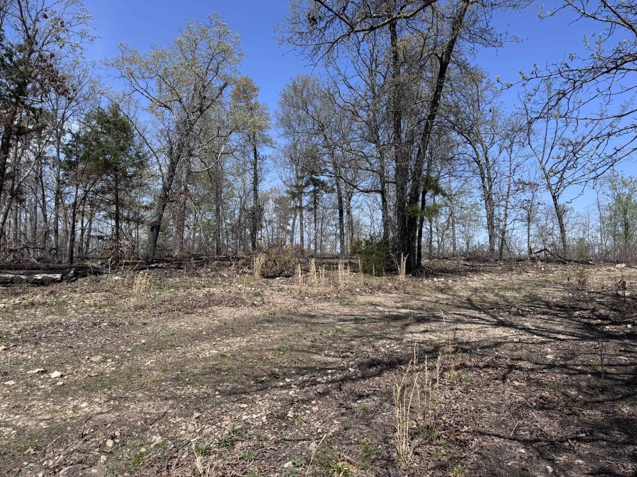 Photo 27 - Vacant Land for sale – 275A  Campground Road   Wideman, AR