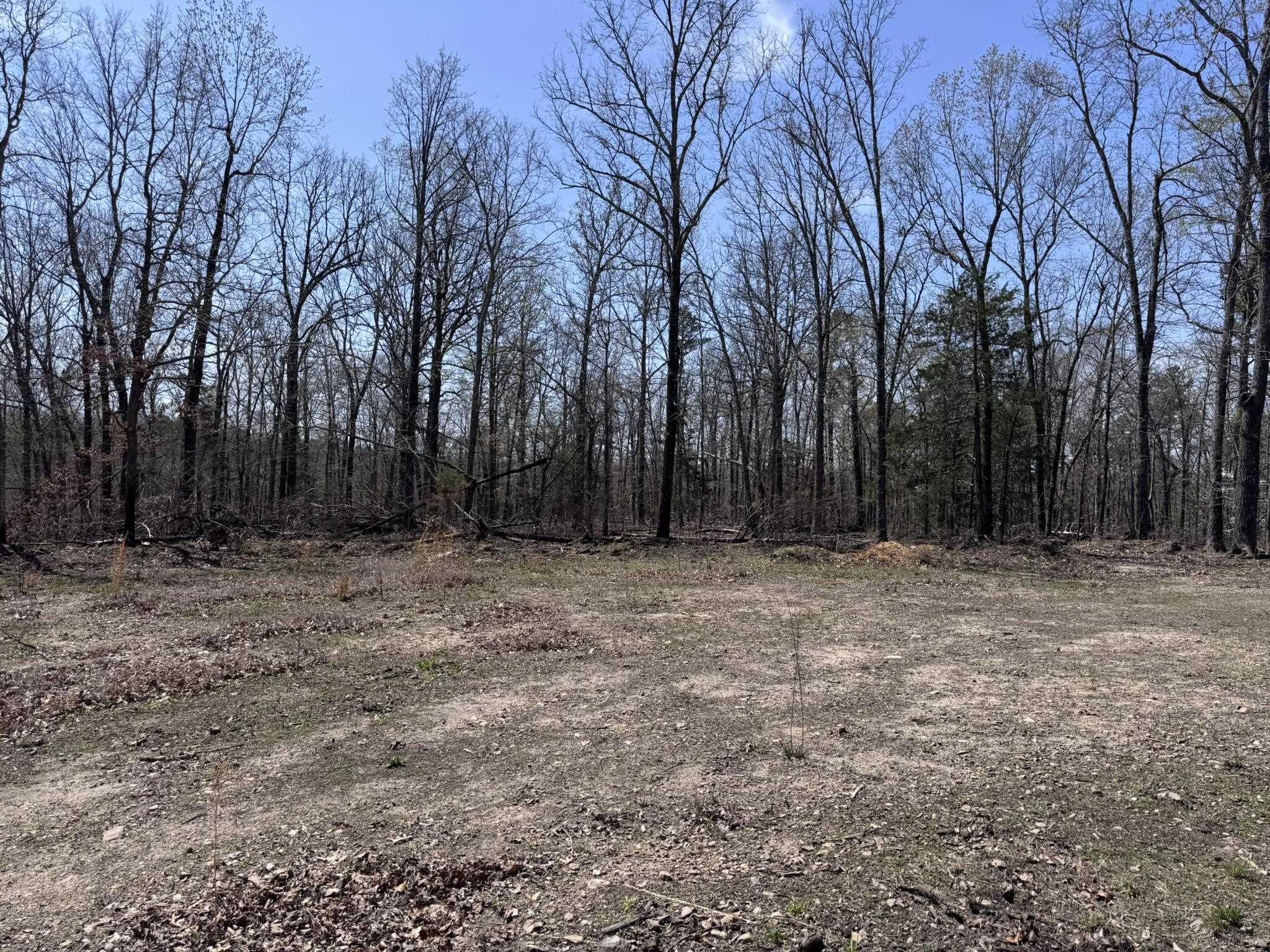 Photo 28 - Vacant Land for sale – 275A  Campground Road   Wideman, AR