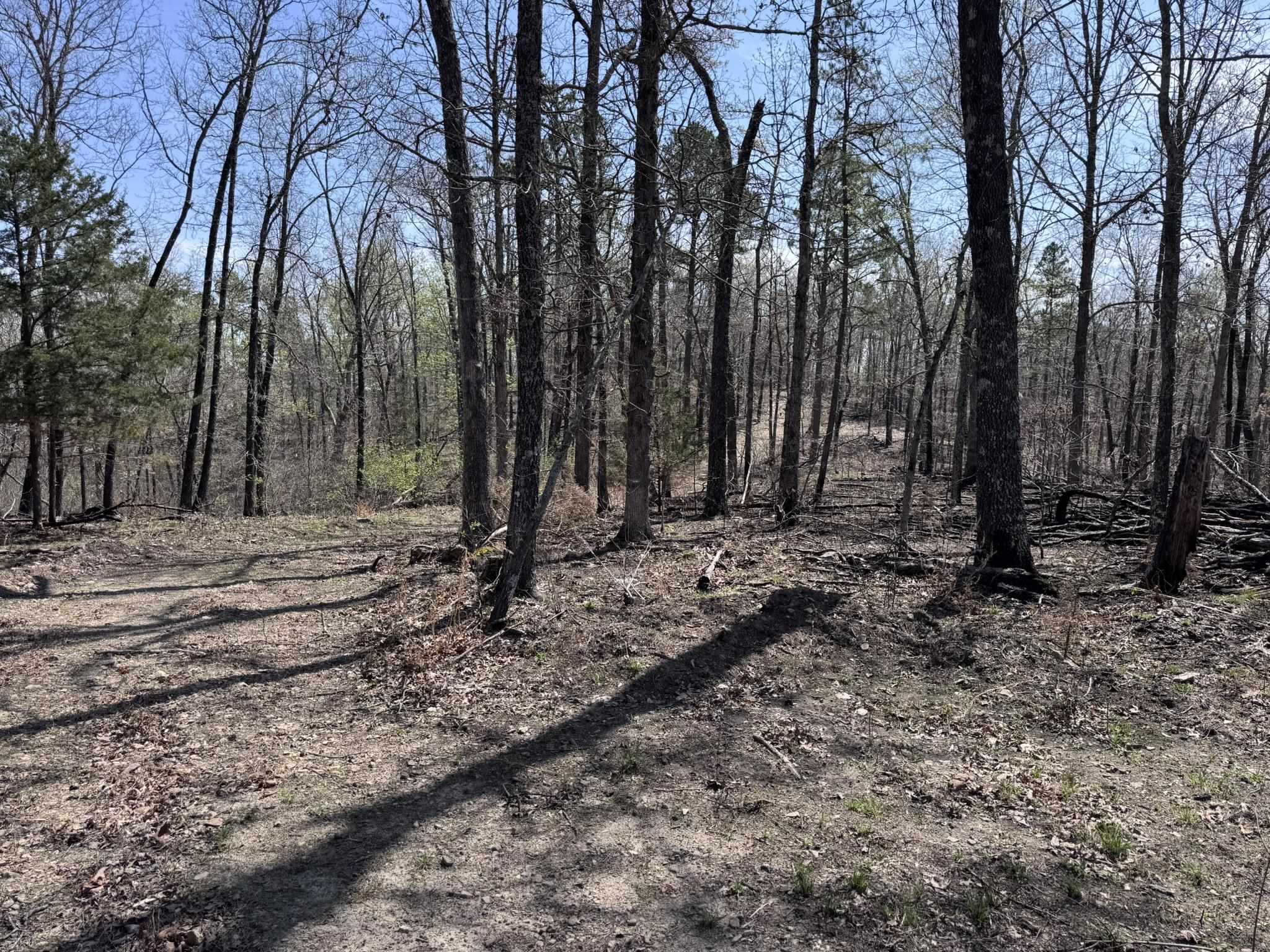 Photo 29 - Vacant Land for sale – 275A  Campground Road   Wideman, AR