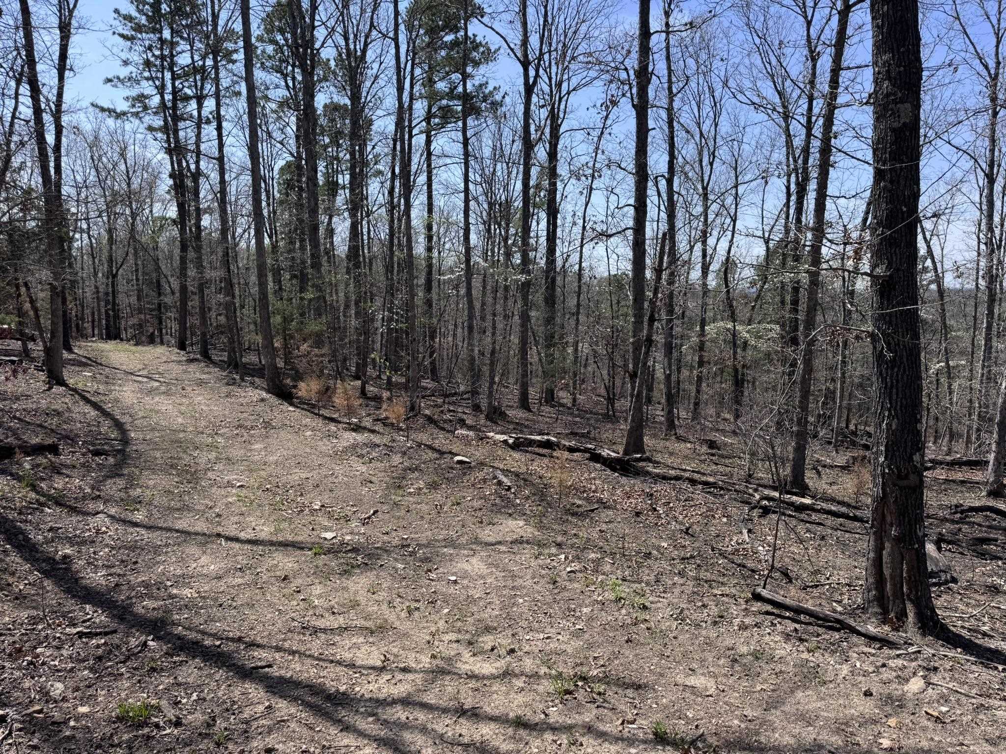 Photo 30 - Vacant Land for sale – 275A  Campground Road   Wideman, AR