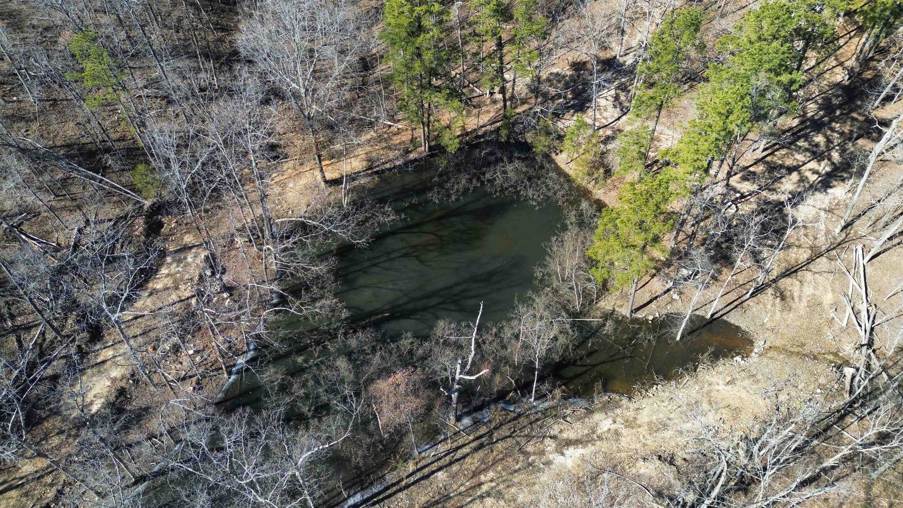 Photo 4 - Vacant Land for sale – 275A  Campground Road   Wideman, AR