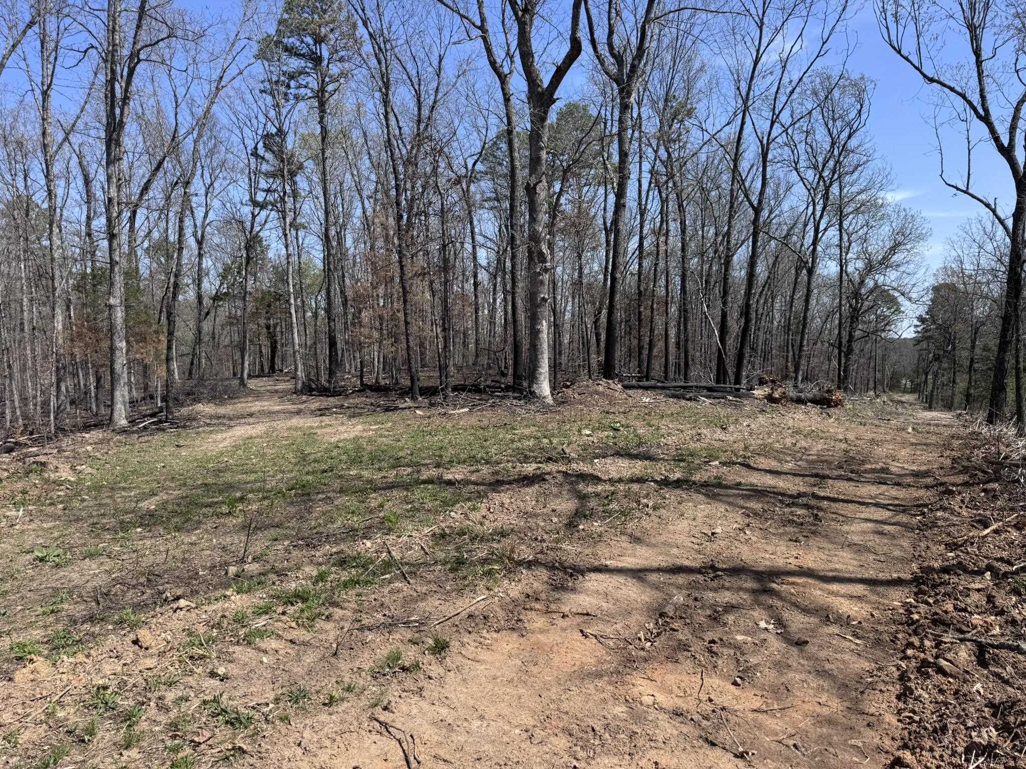 Photo 32 - Vacant Land for sale – 275A  Campground Road   Wideman, AR