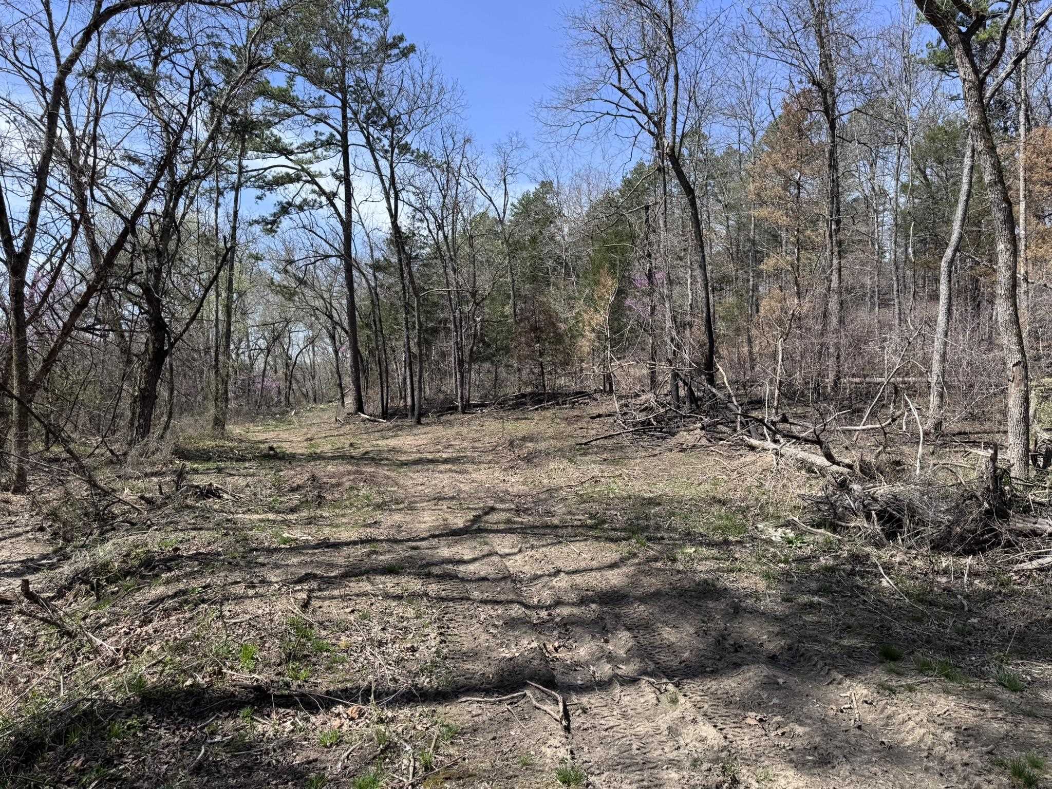 Photo 34 - Vacant Land for sale – 275A  Campground Road   Wideman, AR