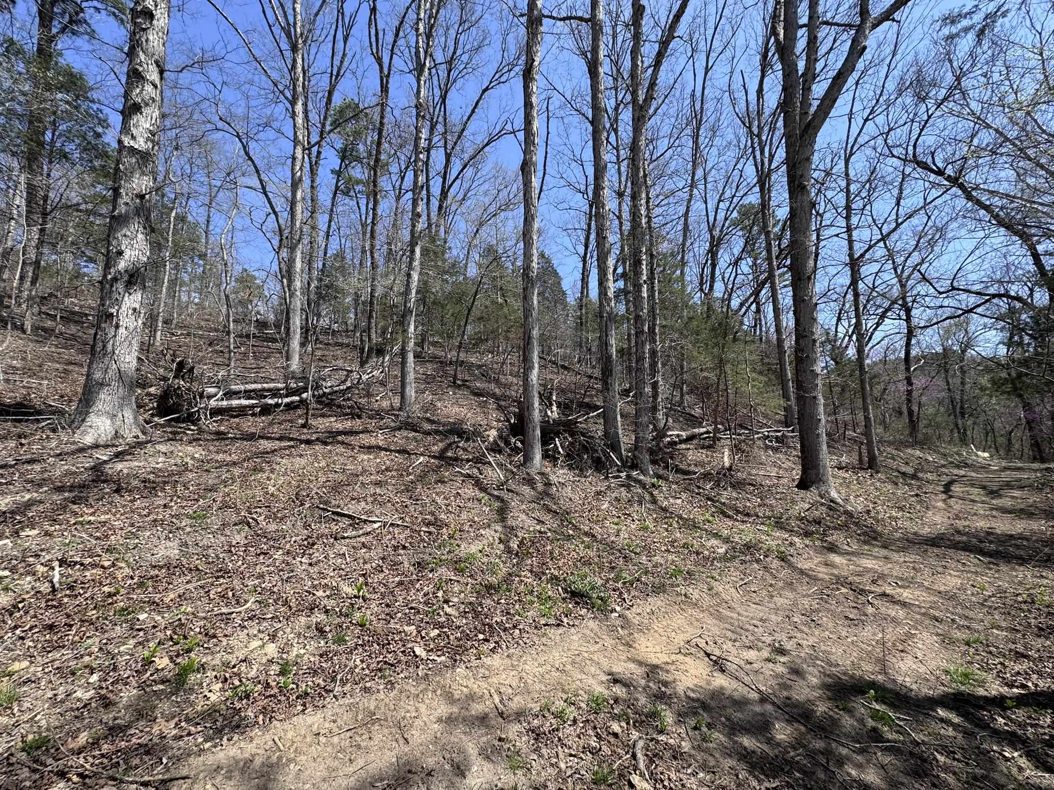 Photo 35 - Vacant Land for sale – 275A  Campground Road   Wideman, AR