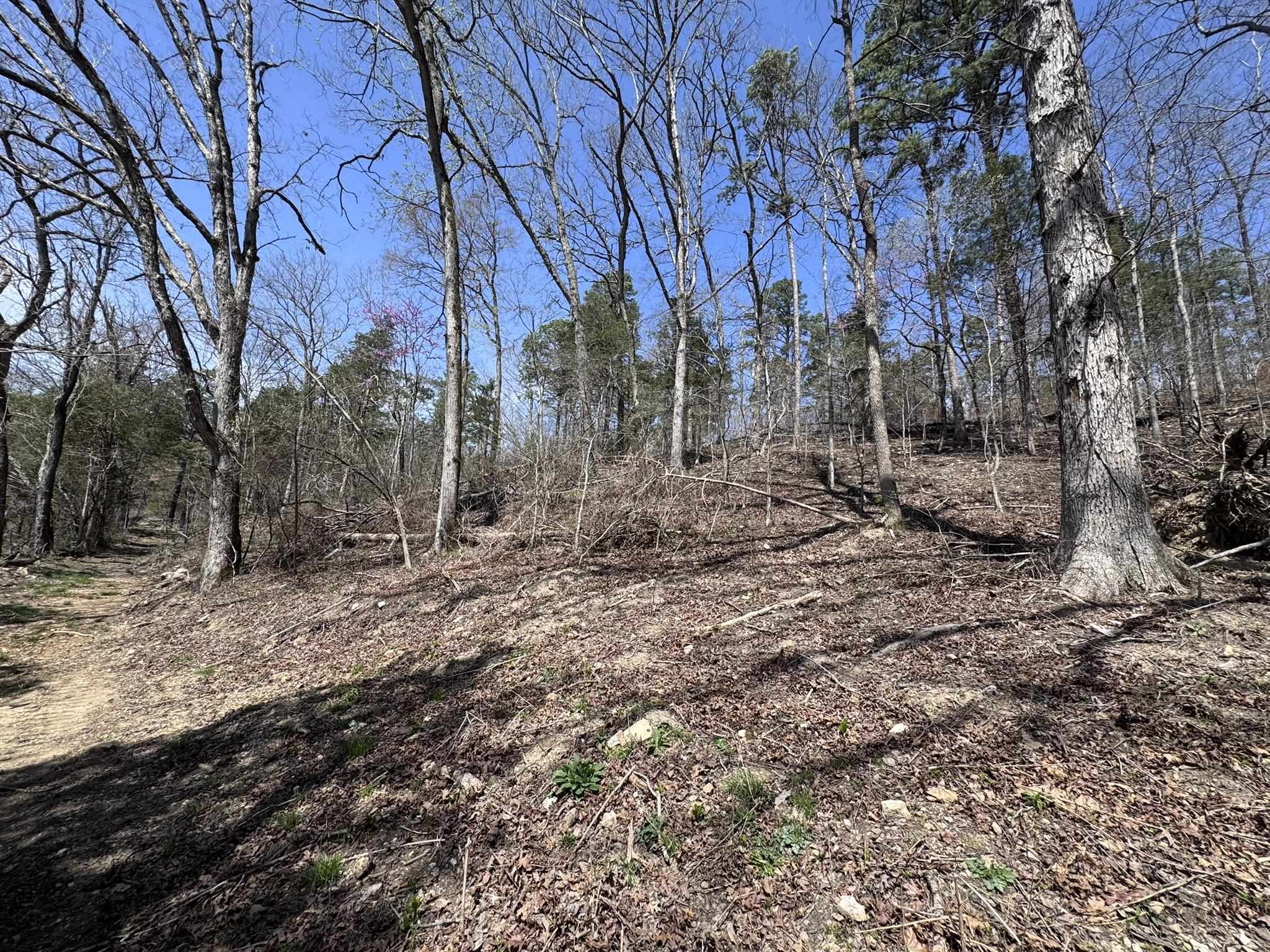 Photo 36 - Vacant Land for sale – 275A  Campground Road   Wideman, AR