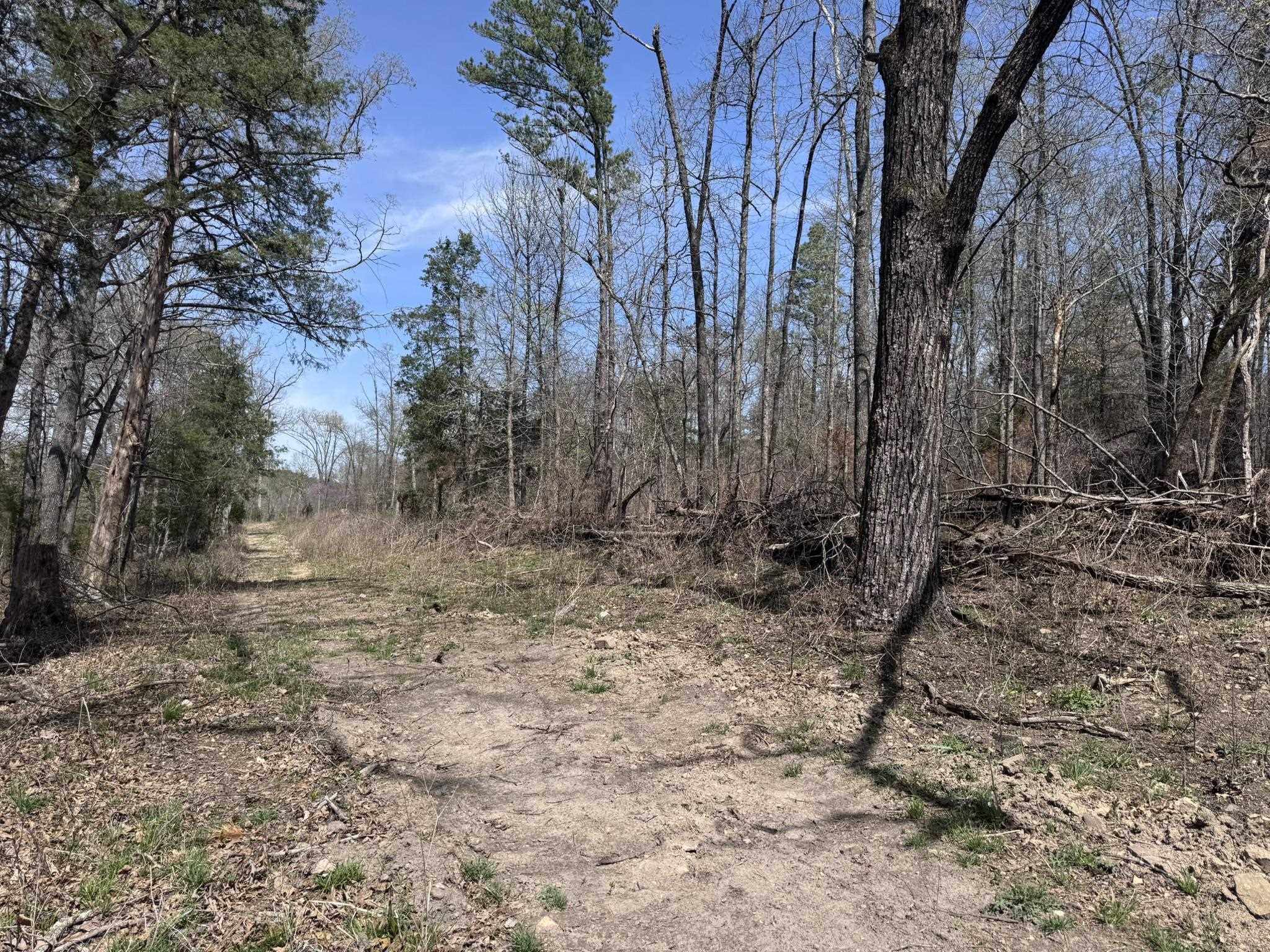 Photo 39 - Vacant Land for sale – 275A  Campground Road   Wideman, AR